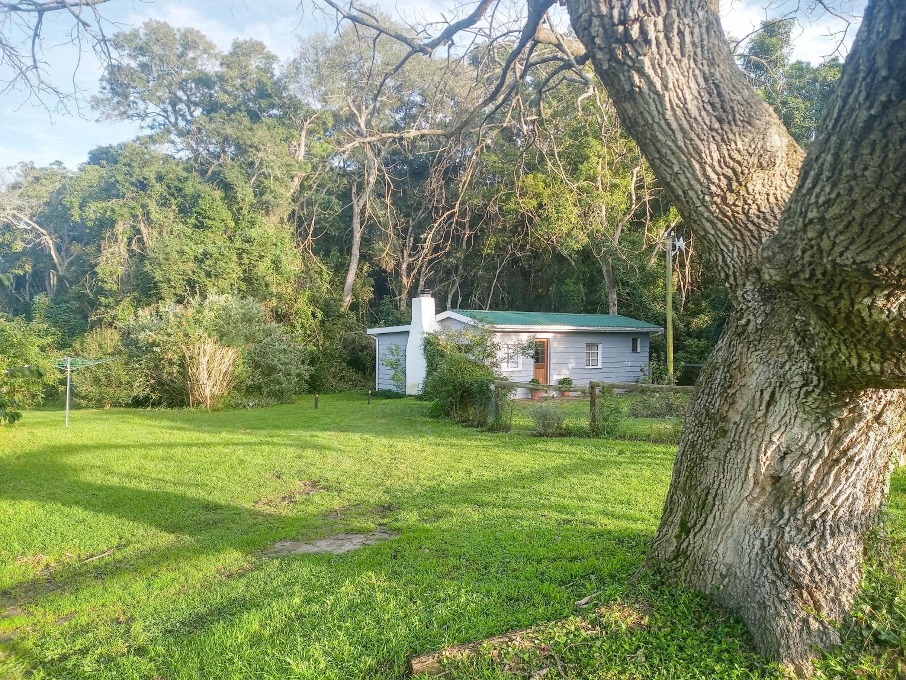 Natures Way Bush Pig Cottage view 2