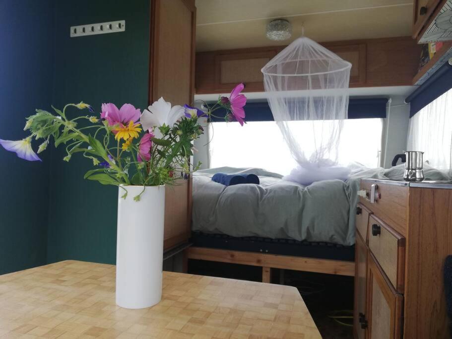 Charming cabin Avondgloed in farmer's orchard view 5