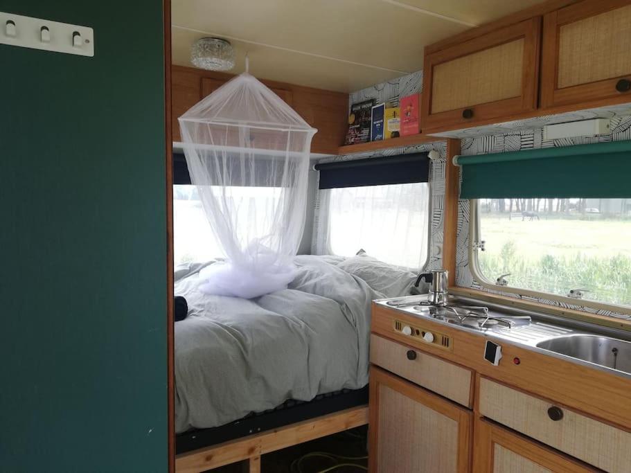 Charming cabin Avondgloed in farmer's orchard view 4