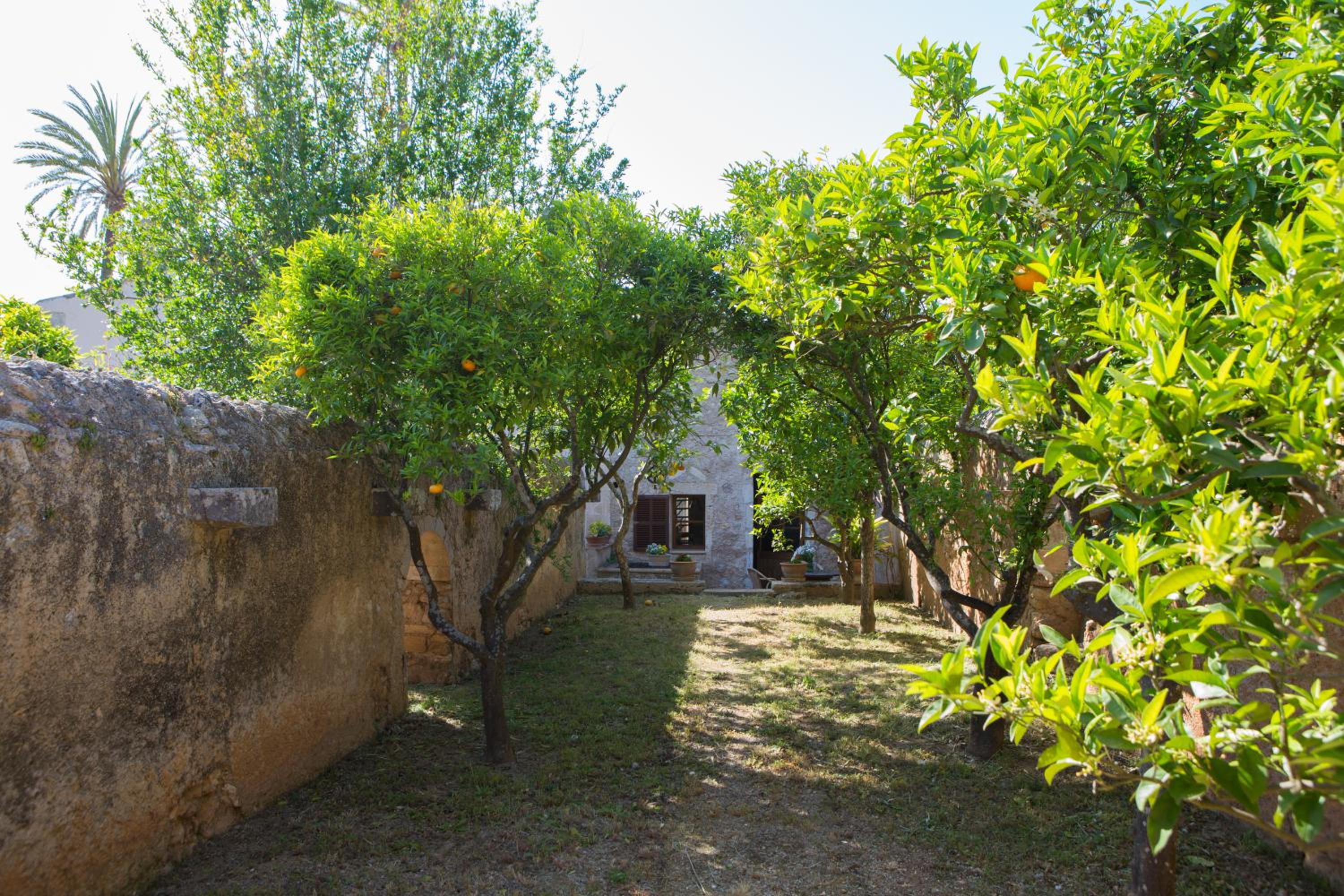 Photo 33