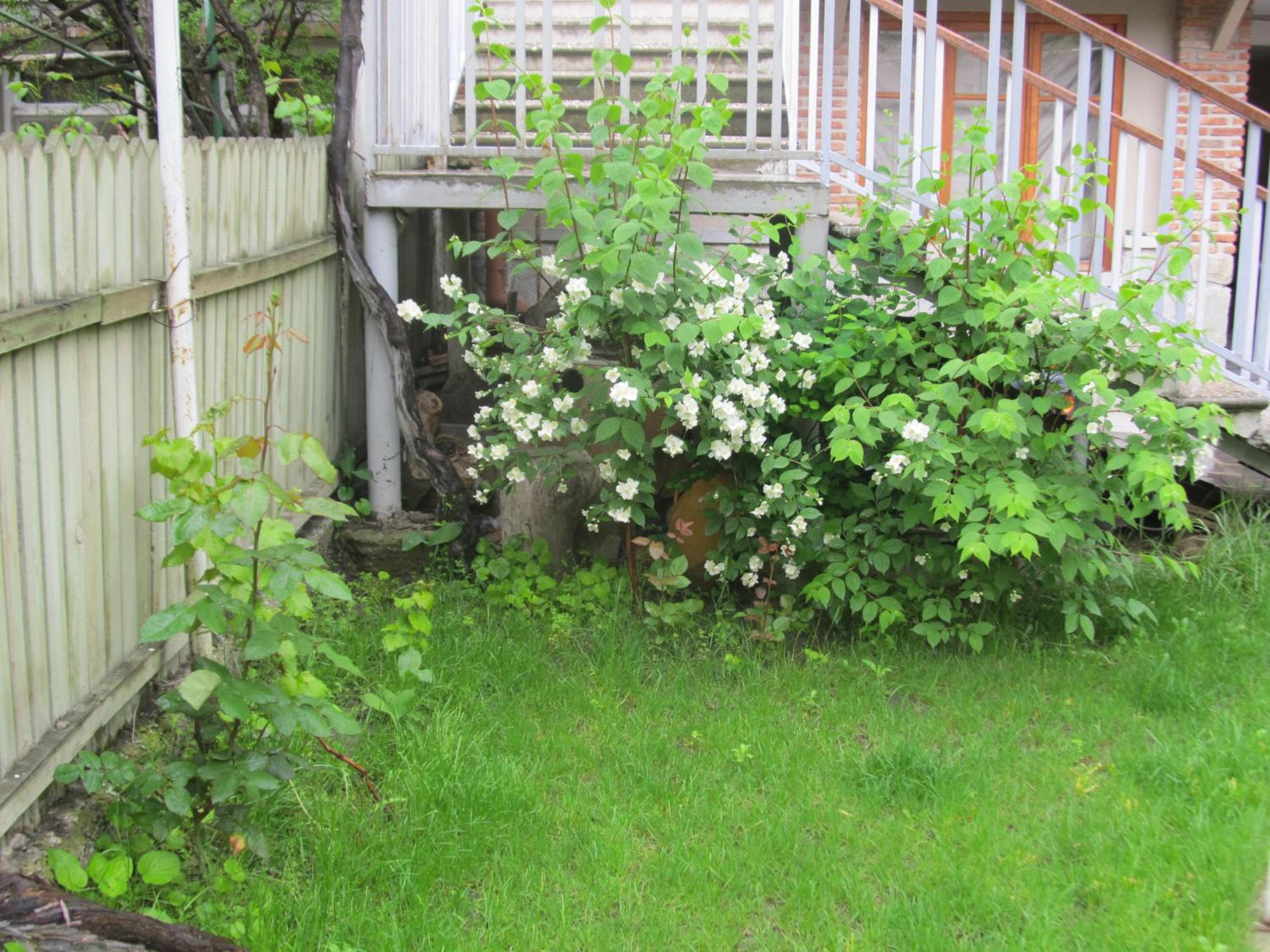 Photo 39