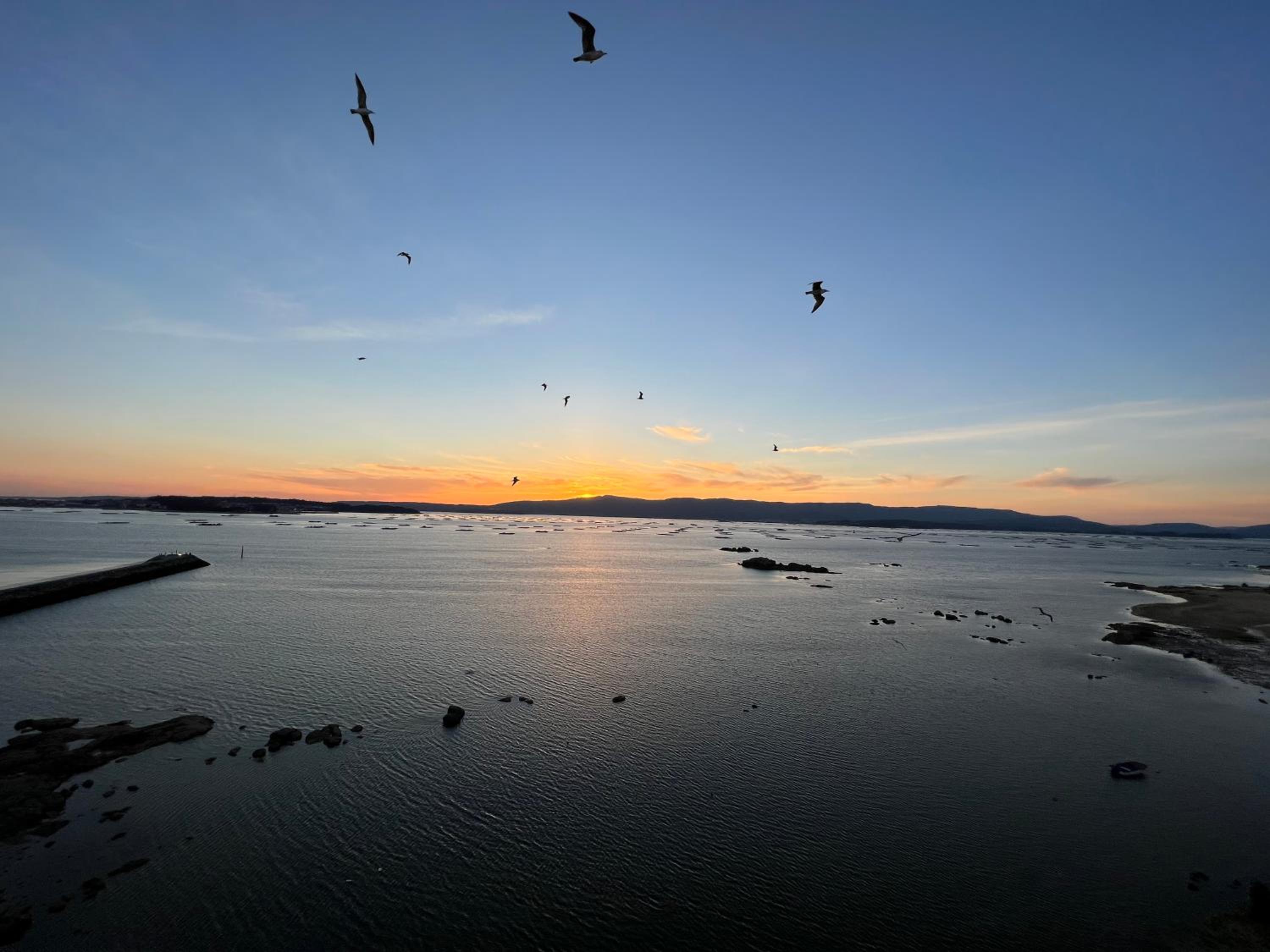 Apartamento Arousa Mar
