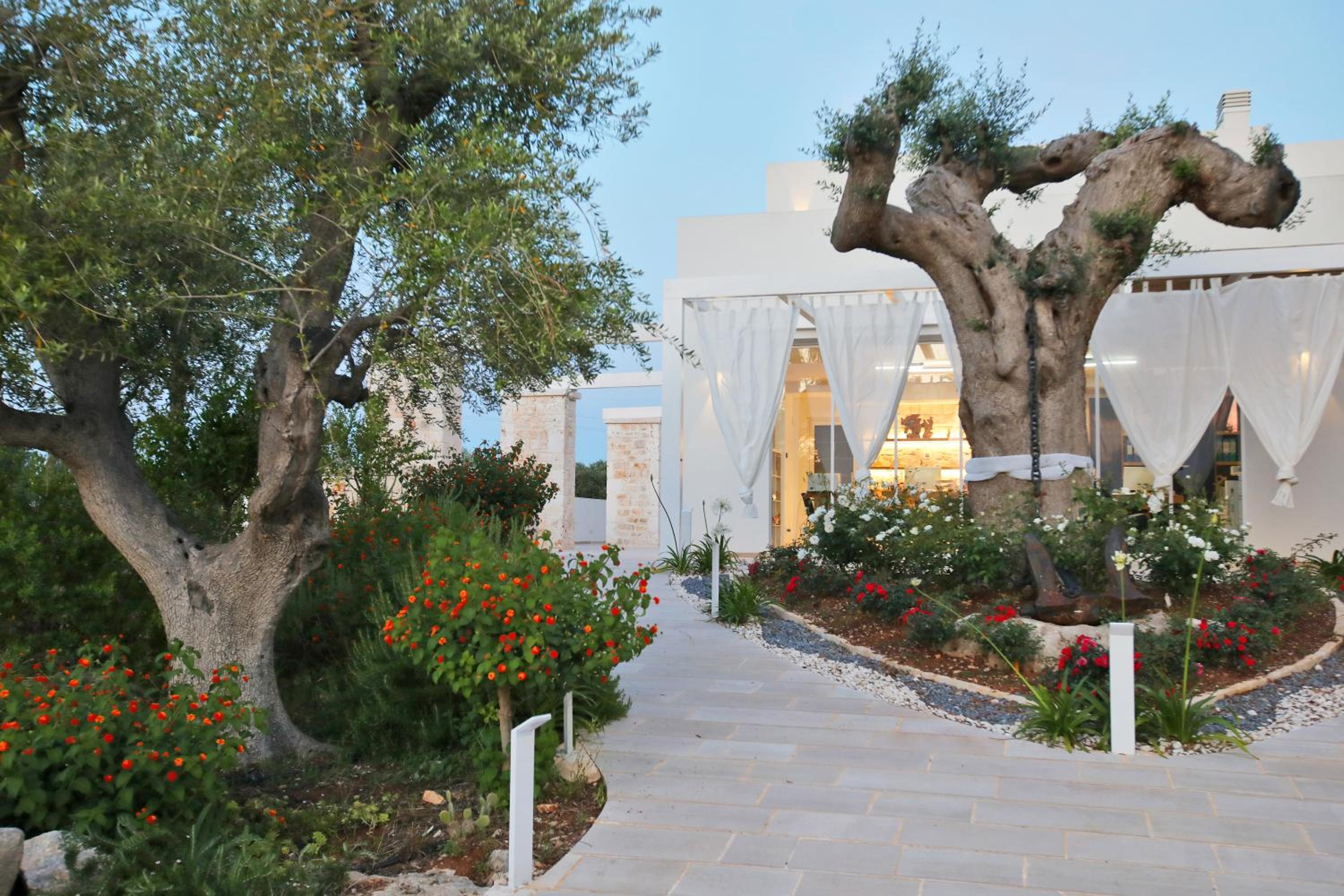 MEDITERRANEO RELAX