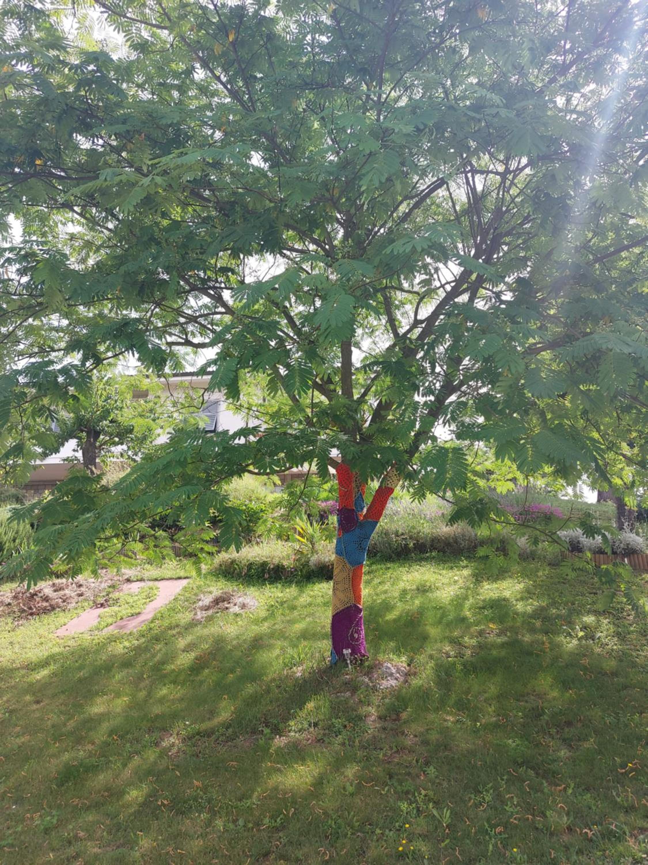 Photo 22