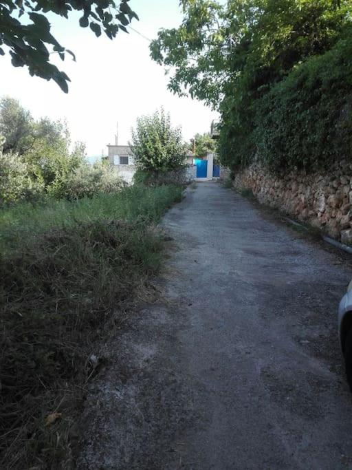 Photo 21
