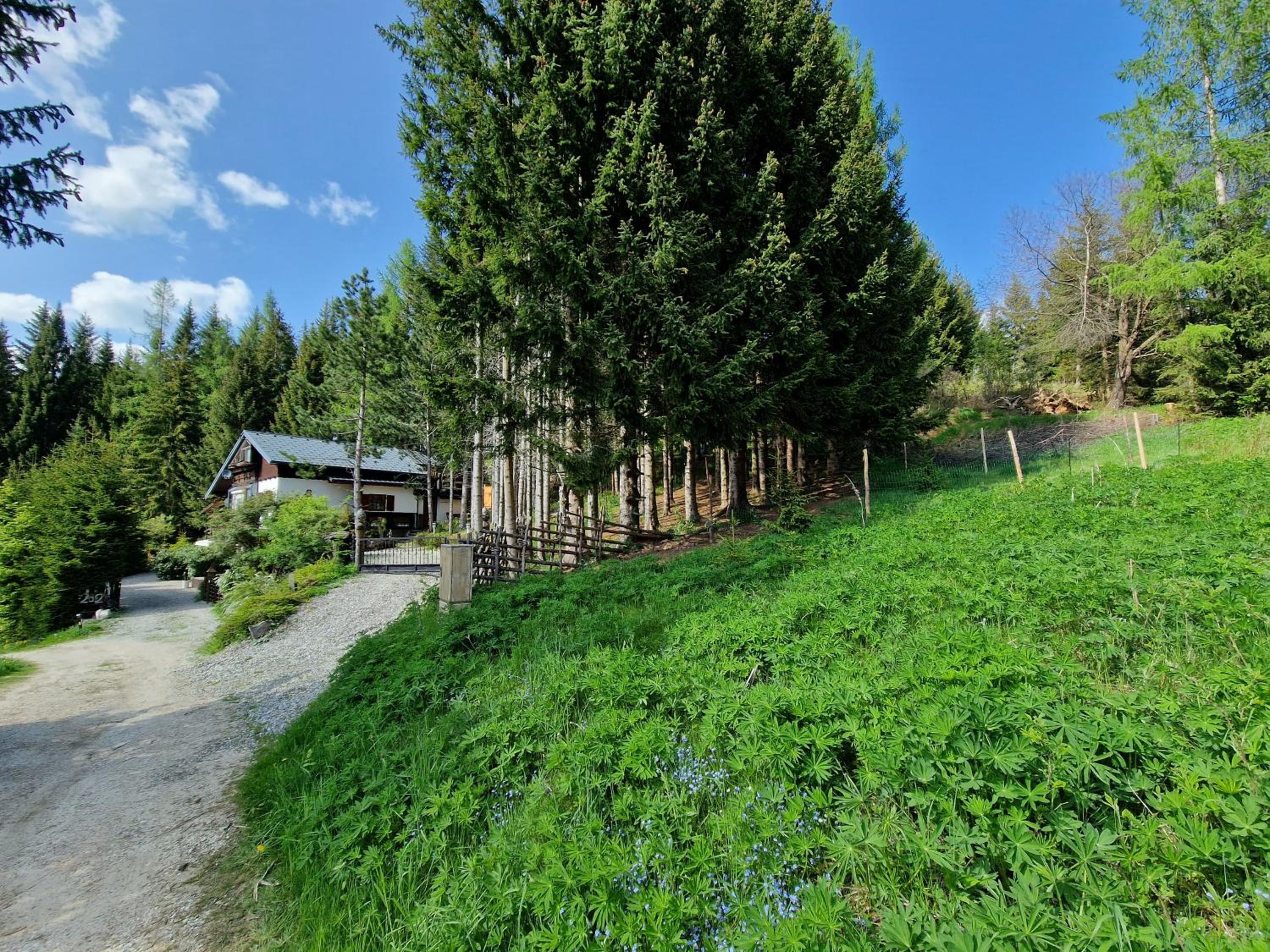 Alm-Ferienhaus Gaisegg am Klippitztörl