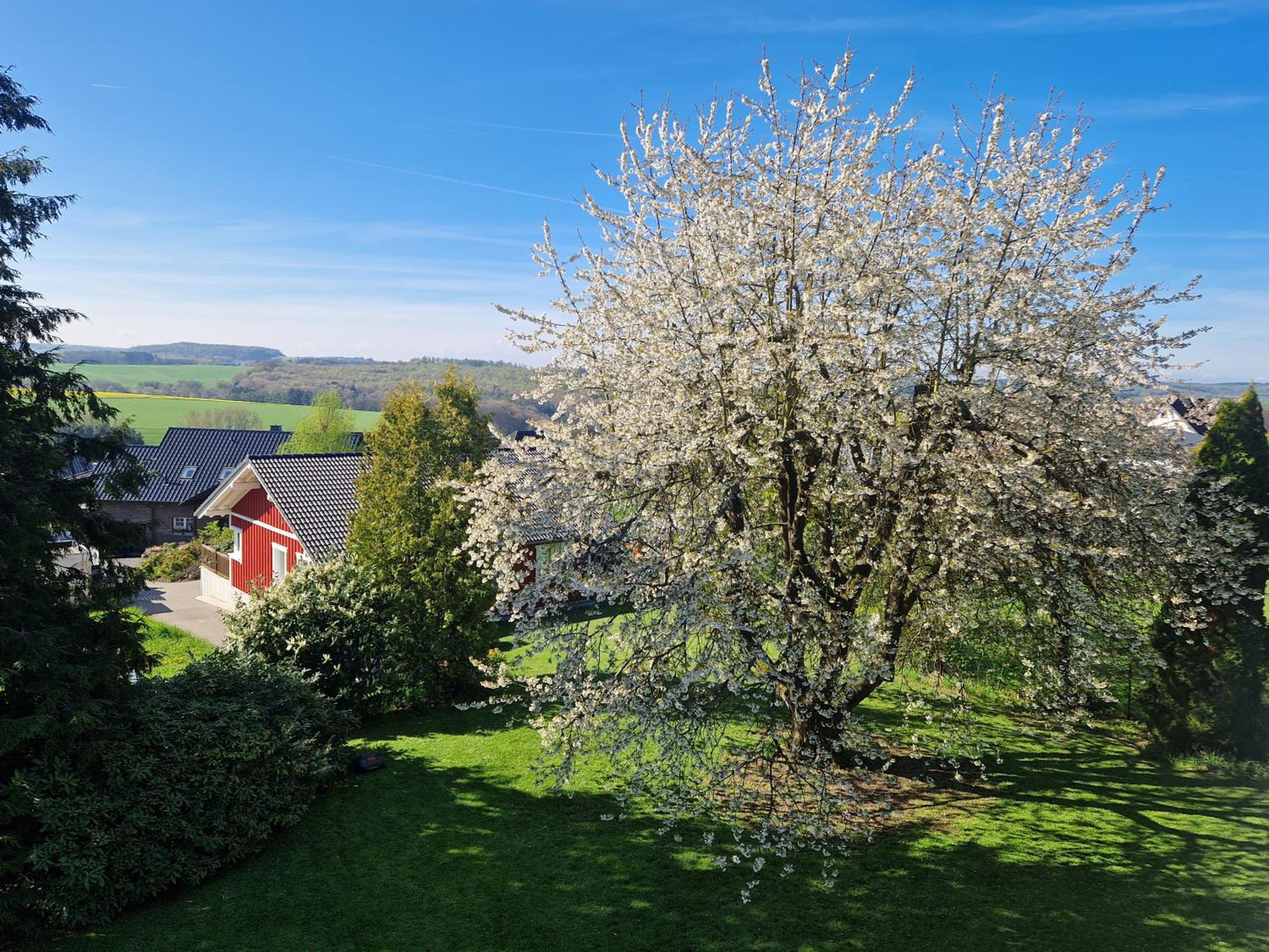 Ferienhaus Löh