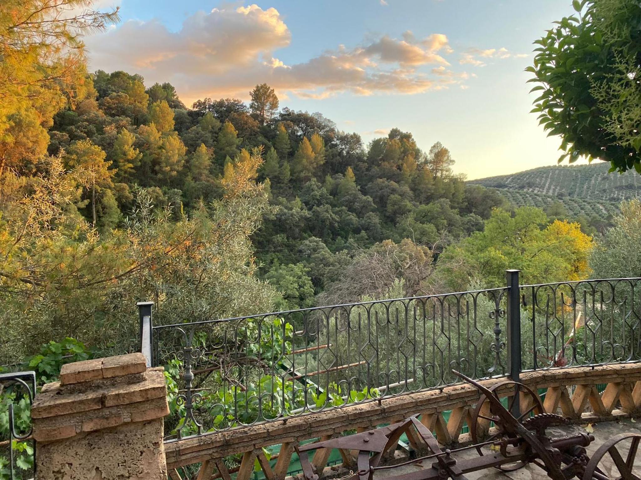 La Toba view 3