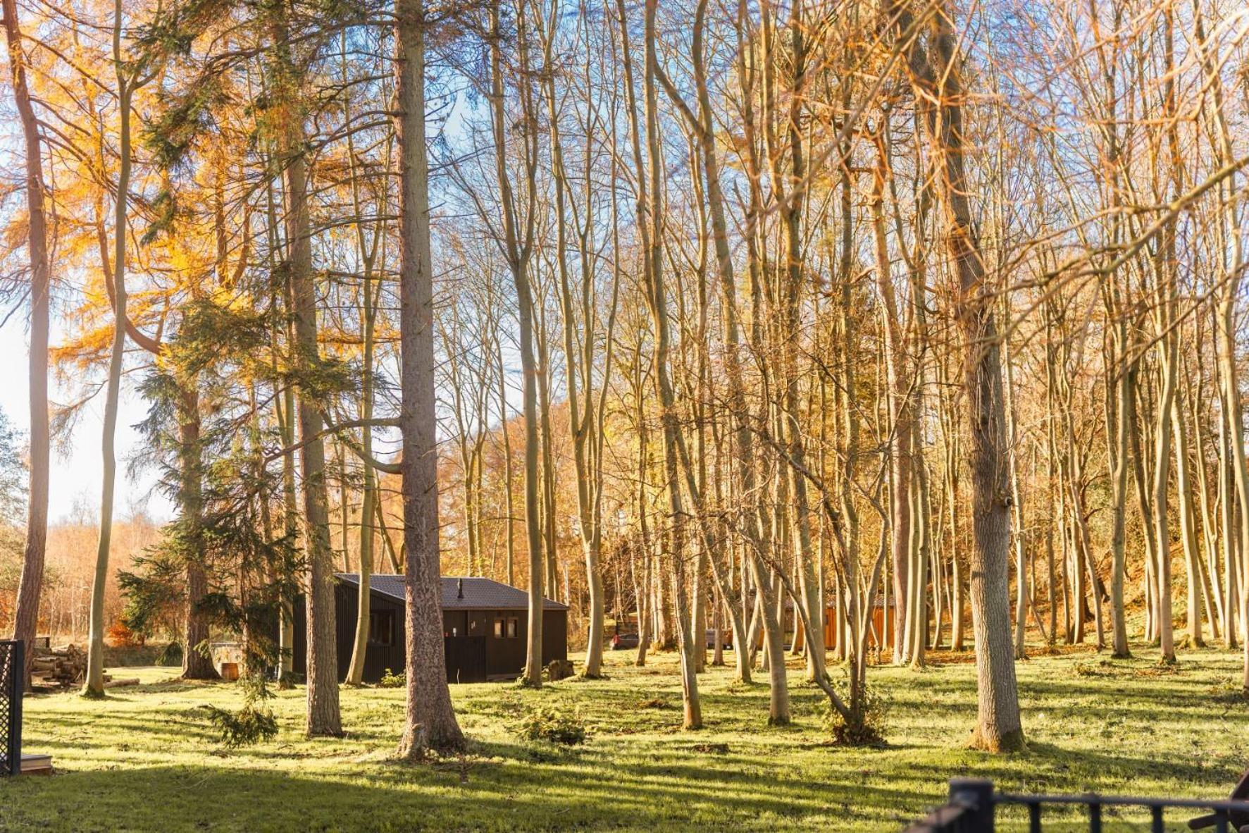 Riverside Cabins