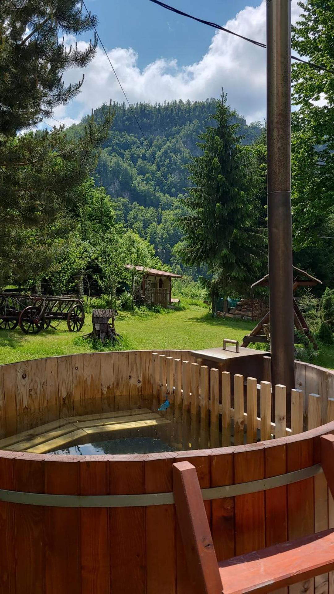 Cabana Valea Rea, Boga view 2