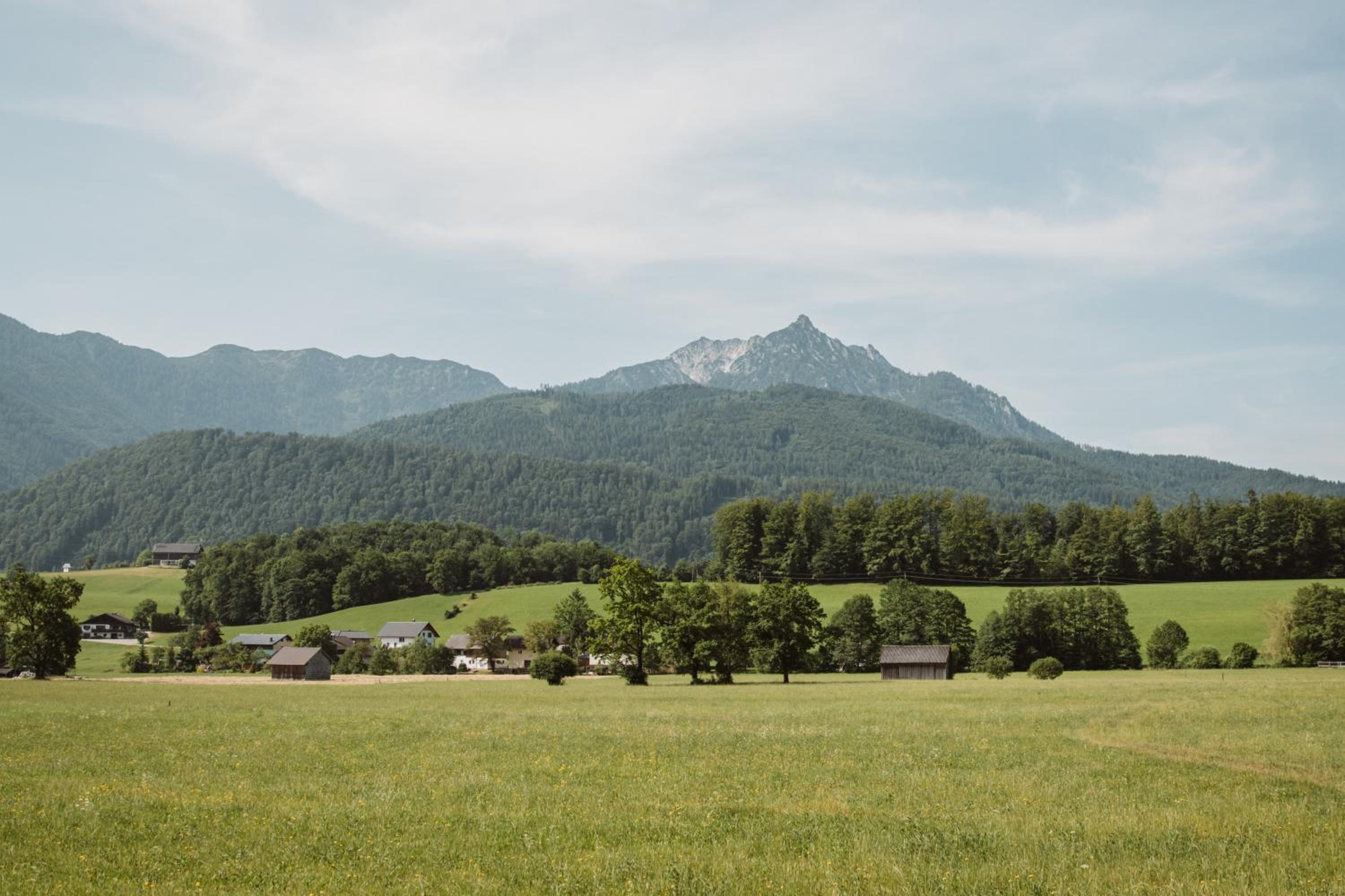 Hoamhaus