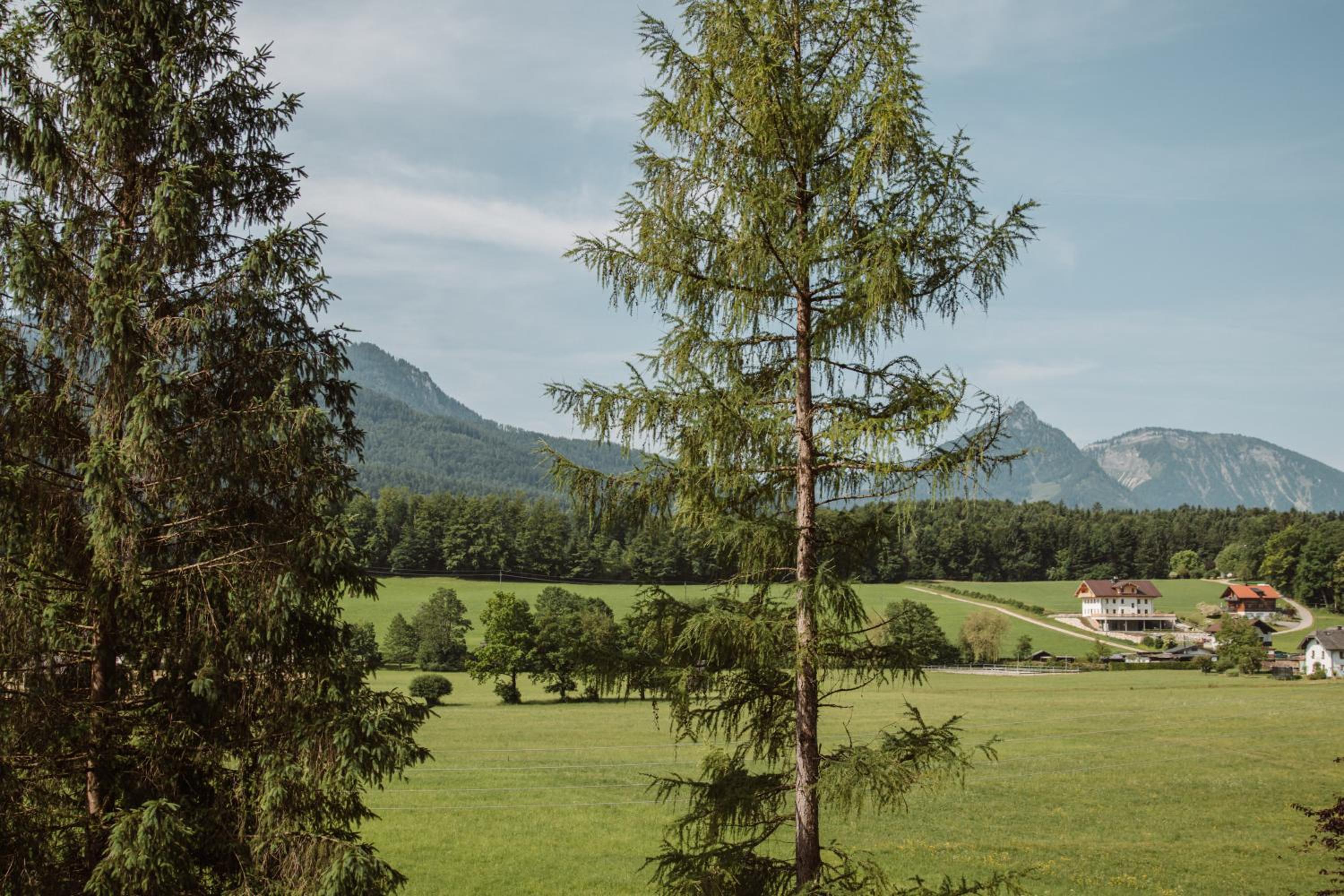 Hoamhaus