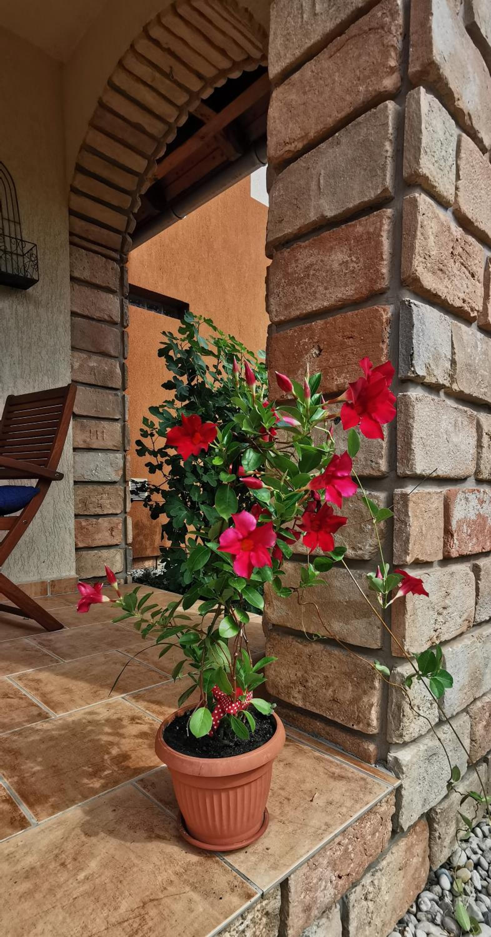 Mediterrania Apartment
