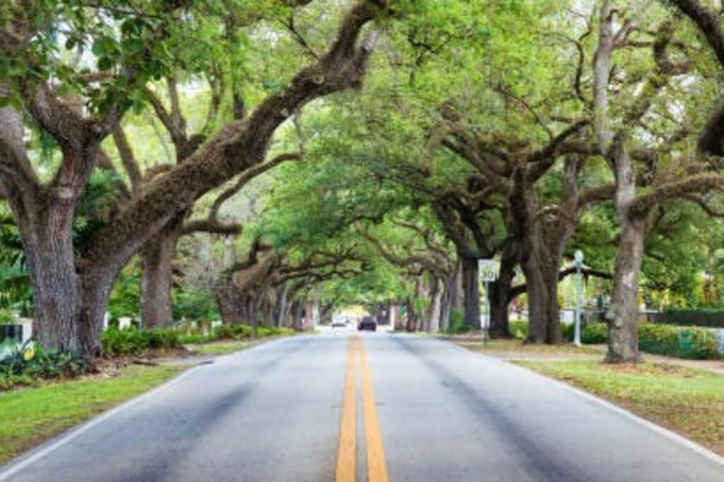 My lovely home in Miami 15 minutes from the Beach