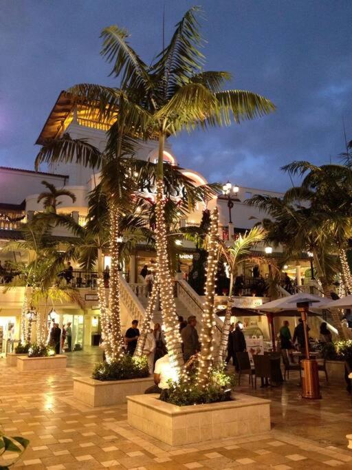 My lovely home in Miami 15 minutes from the Beach