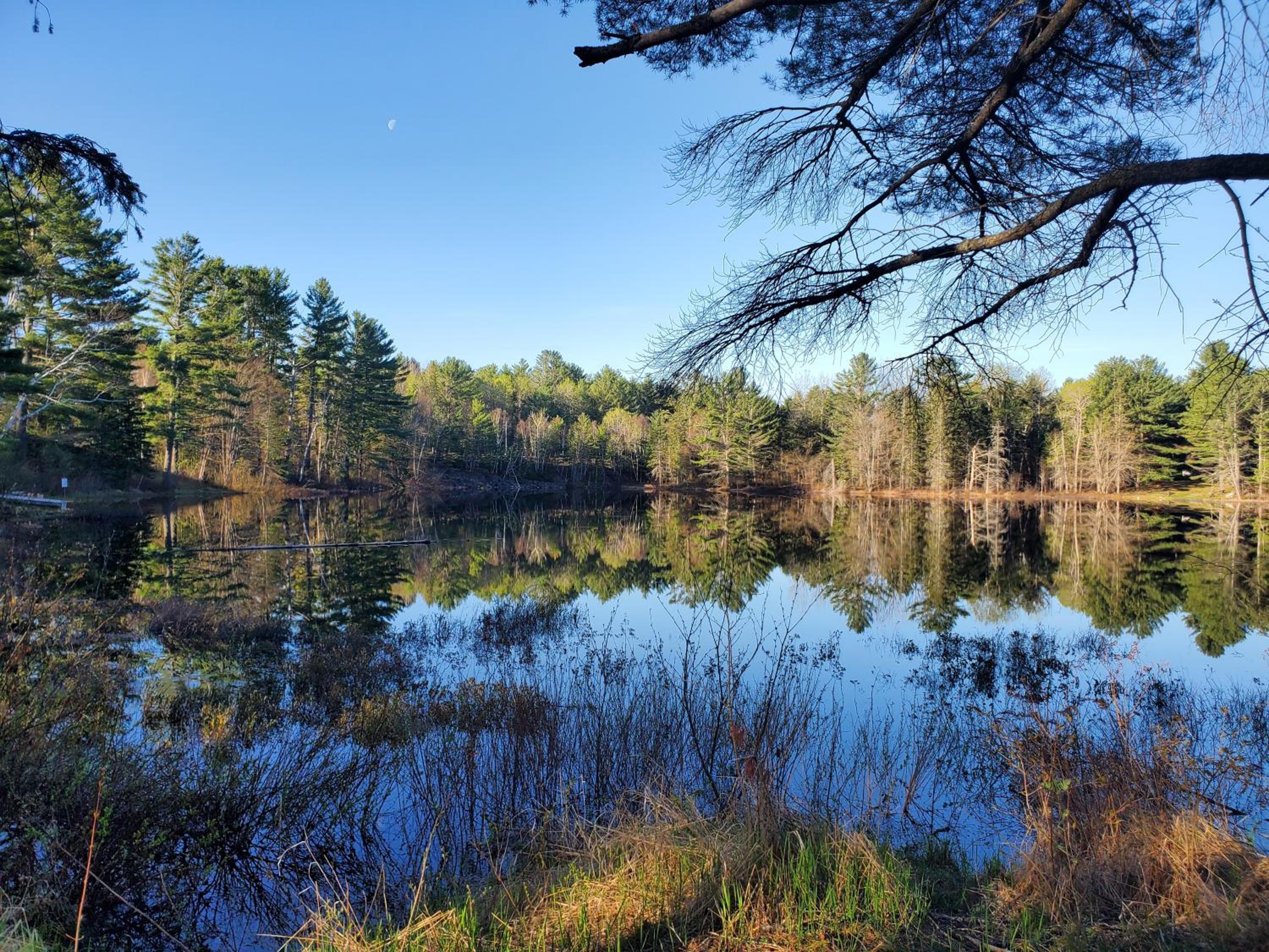 Spring Lake Resort