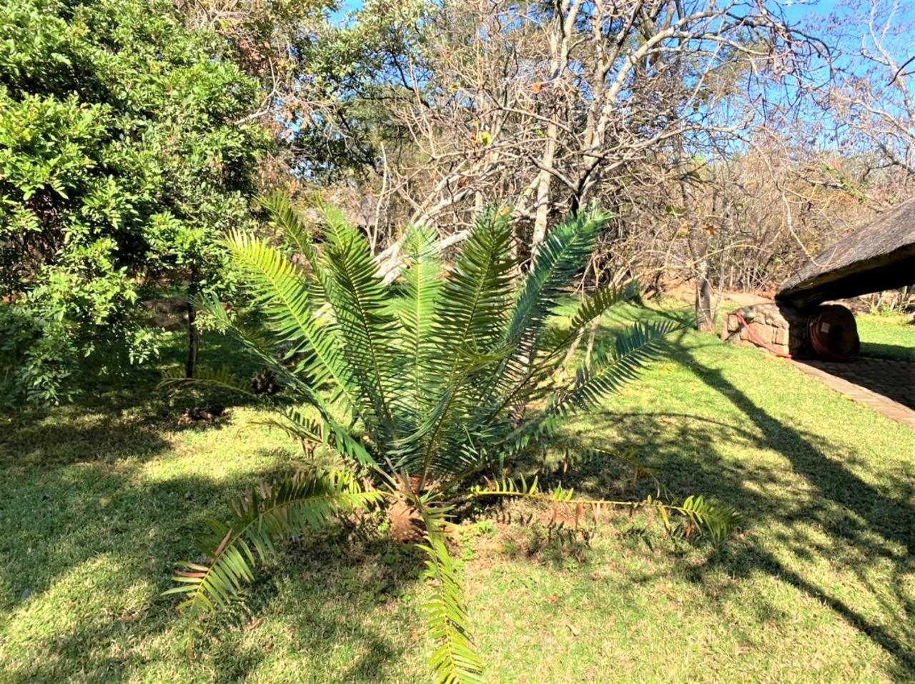 Photo 18