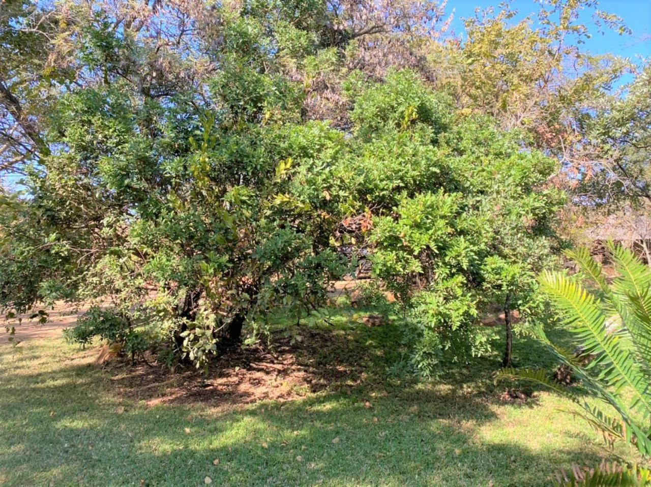 Photo 12