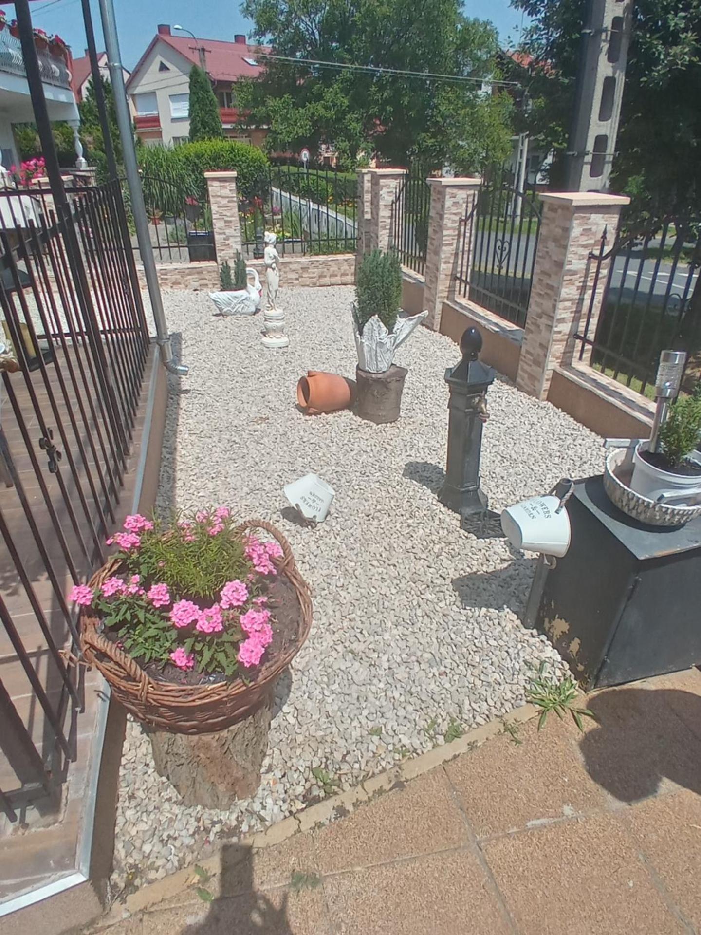Photo 44