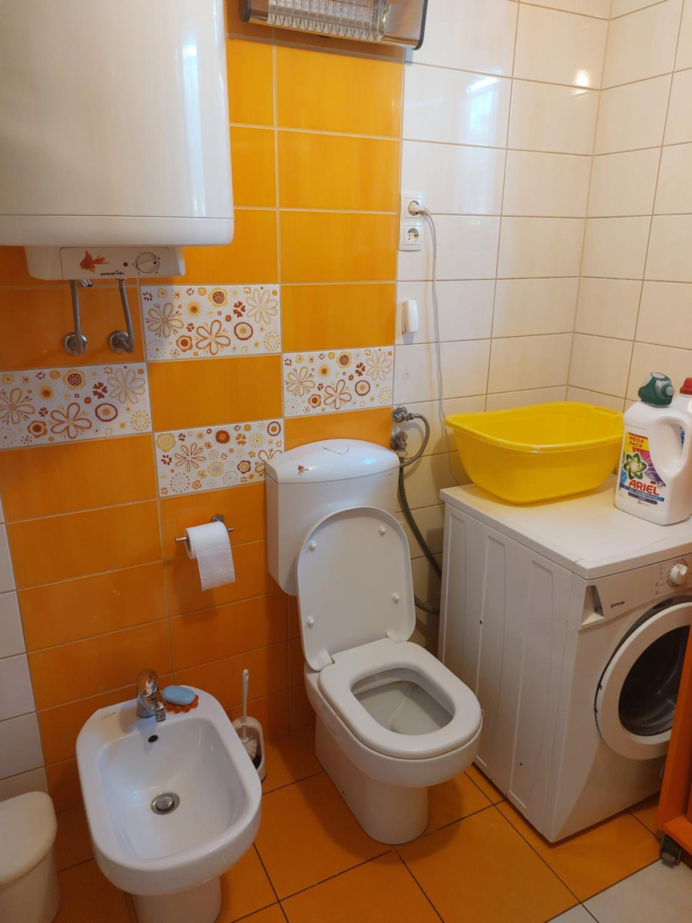 Apartma Vida view 4