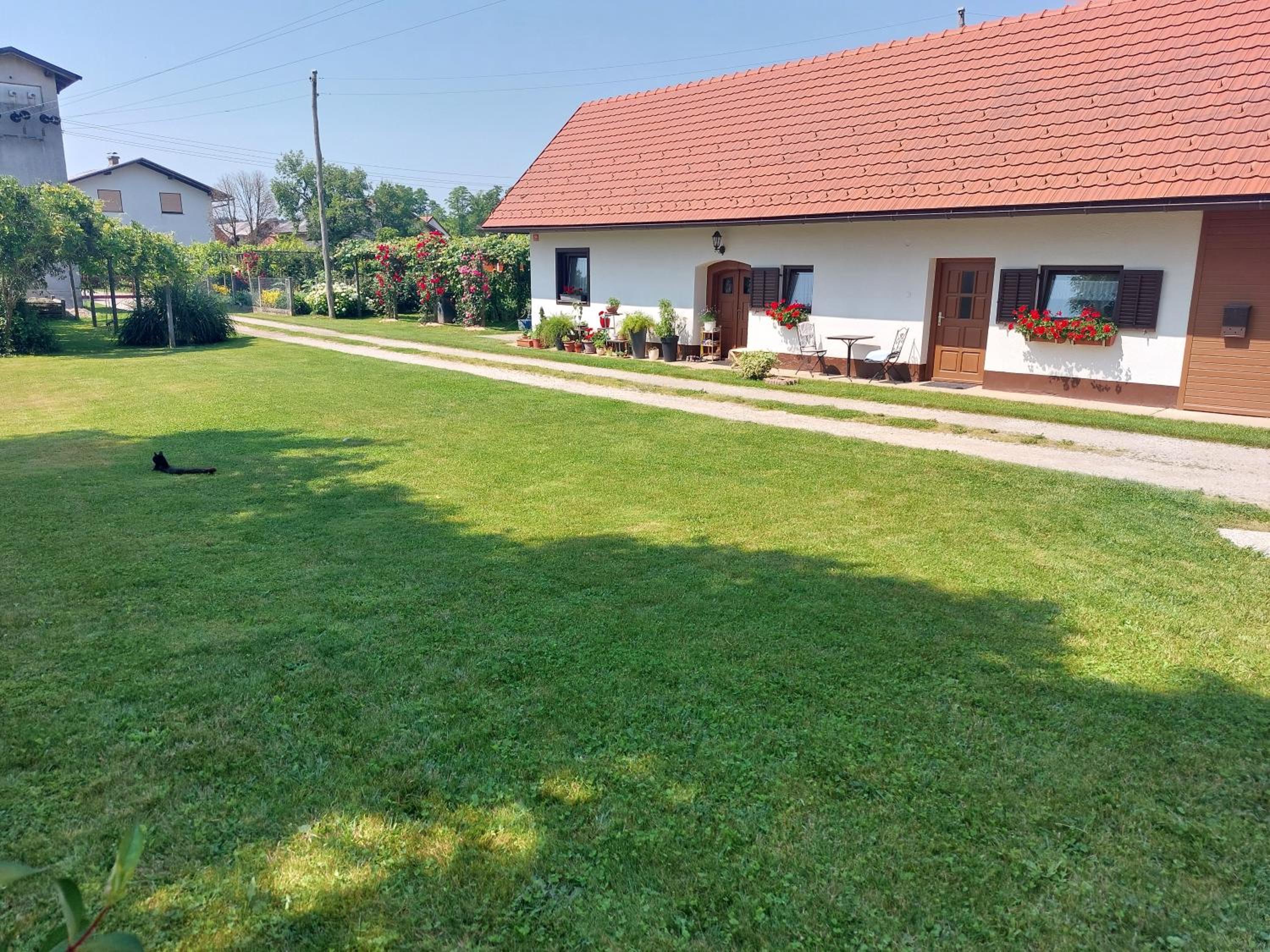 Apartma Vida view 5