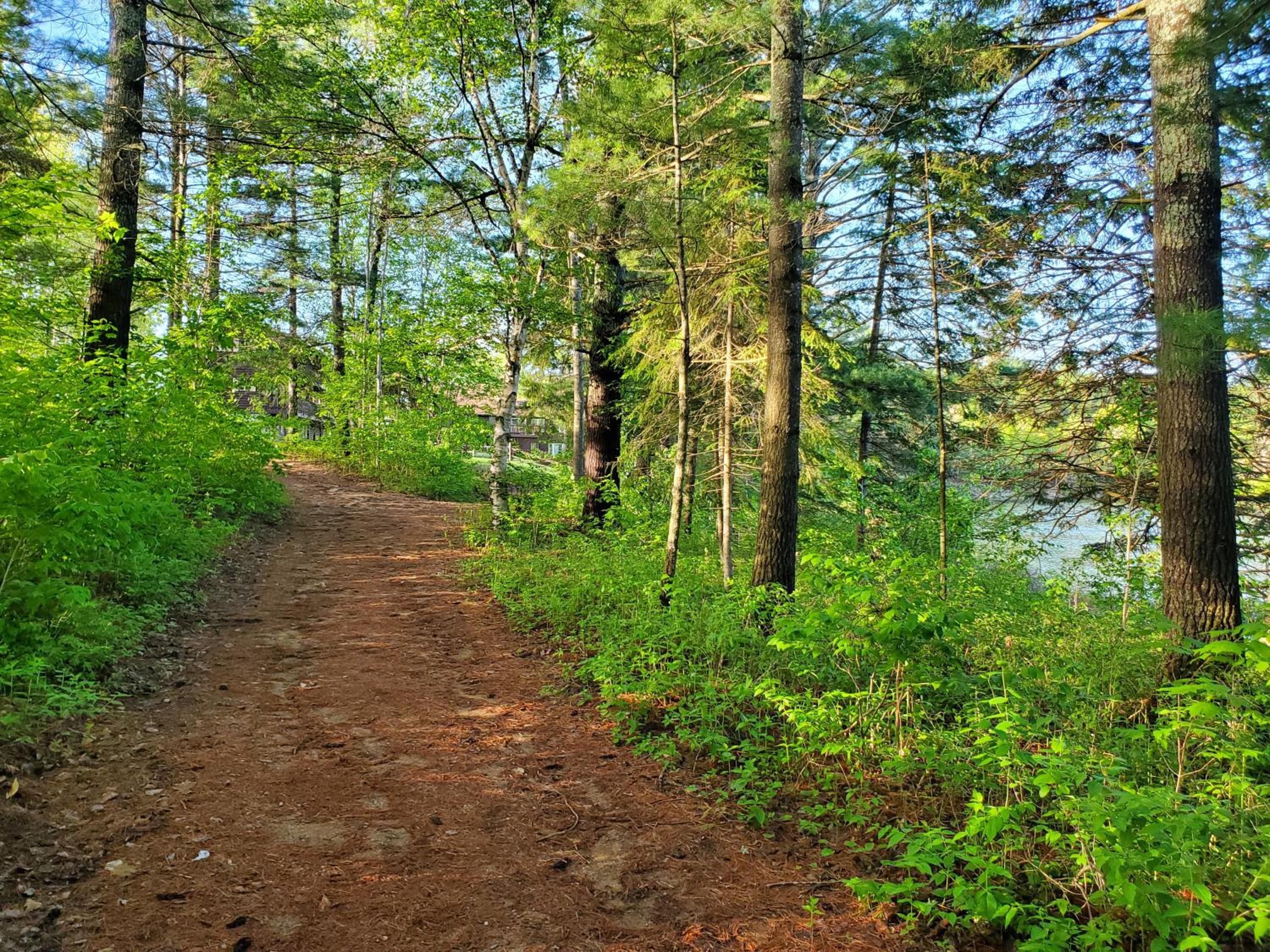 Spring Lake Resort