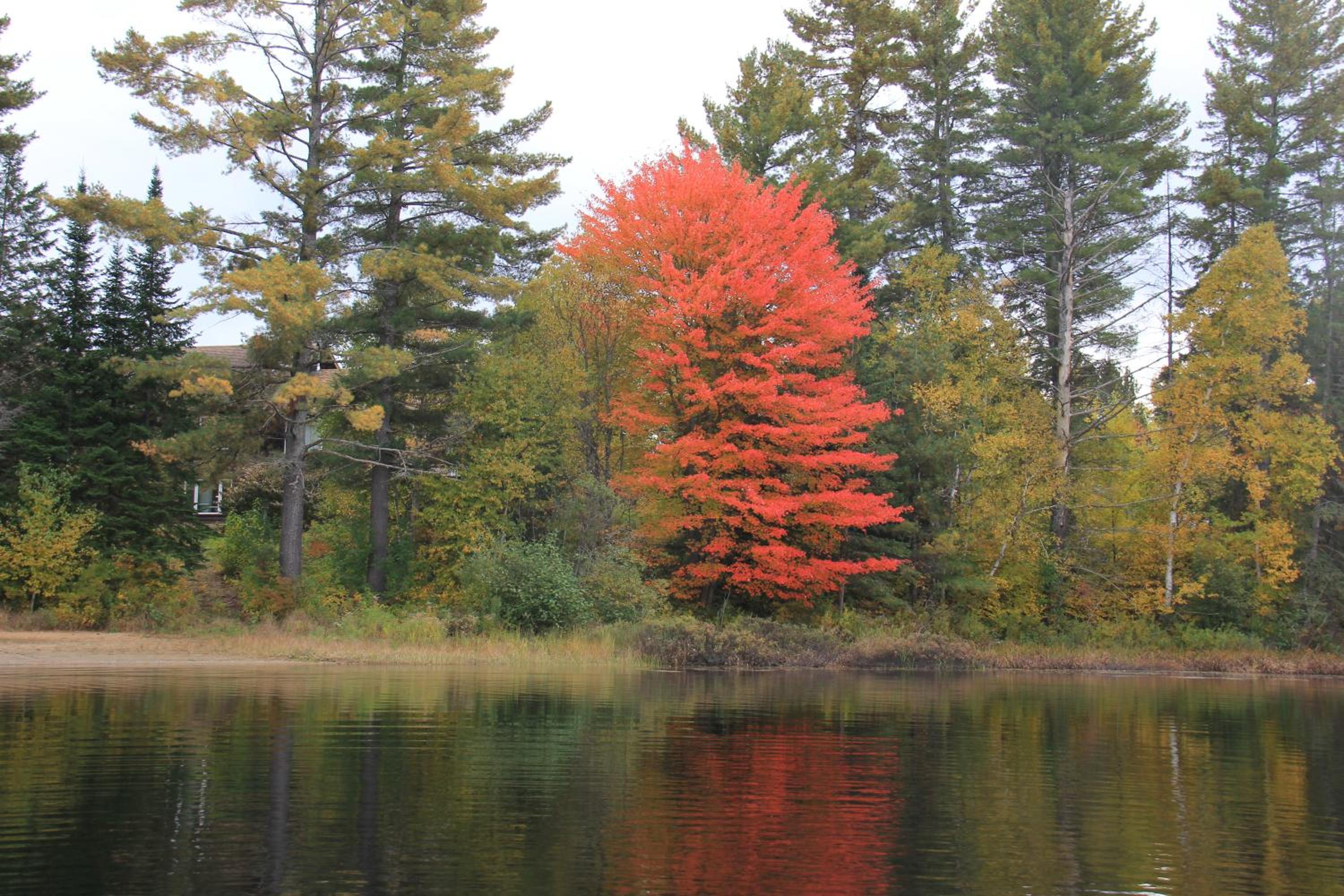 Spring Lake Resort