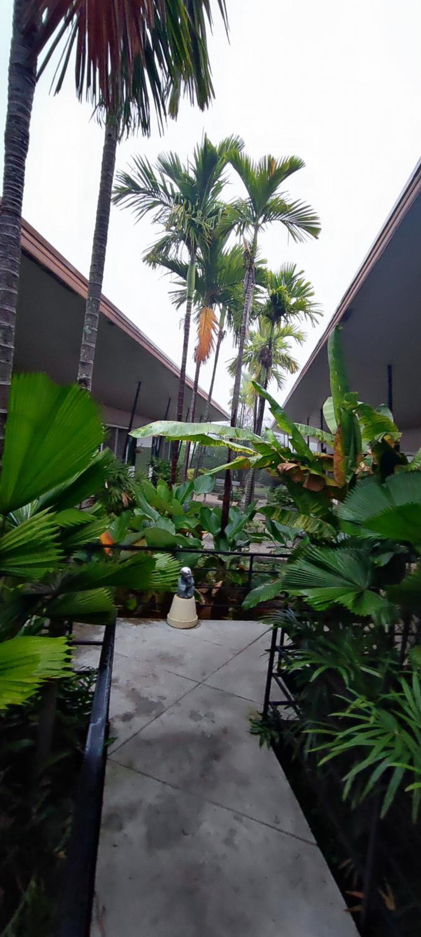 Mila Garden