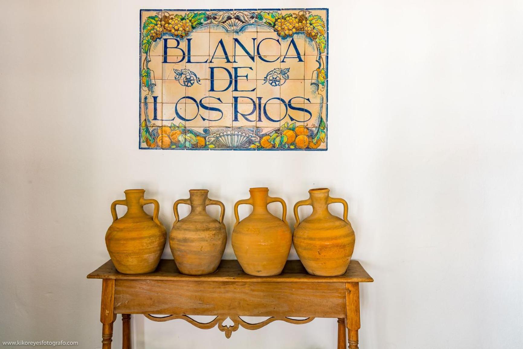 Cortijo El Indiviso