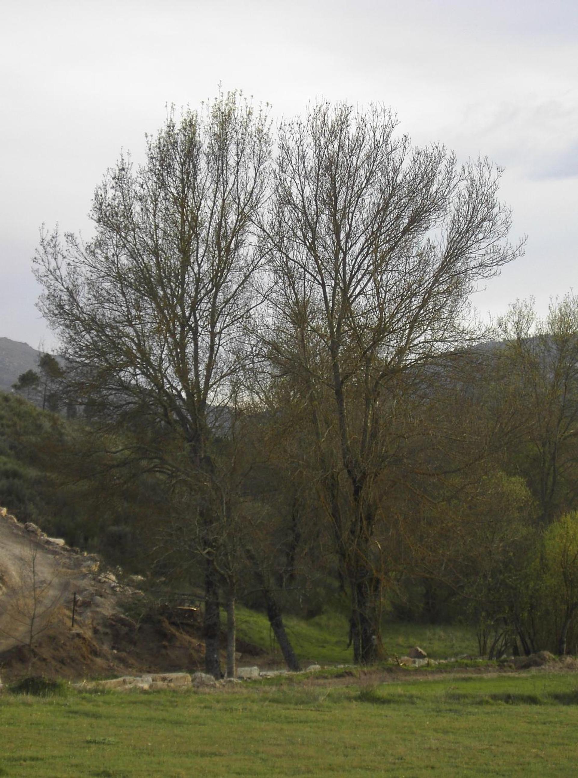 Photo 32