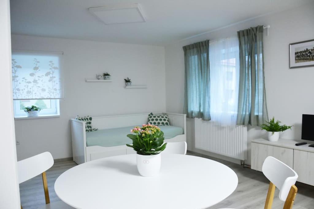 Apartmán Květinový Dům