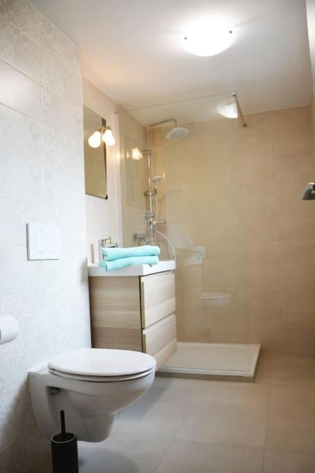 Apartmán Květinový Dům