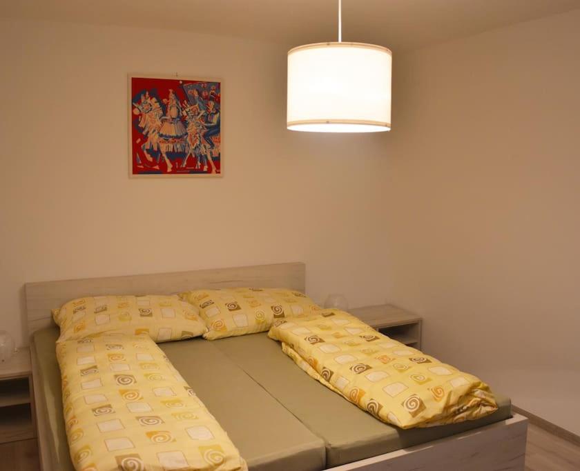 Apartmán Květinový Dům