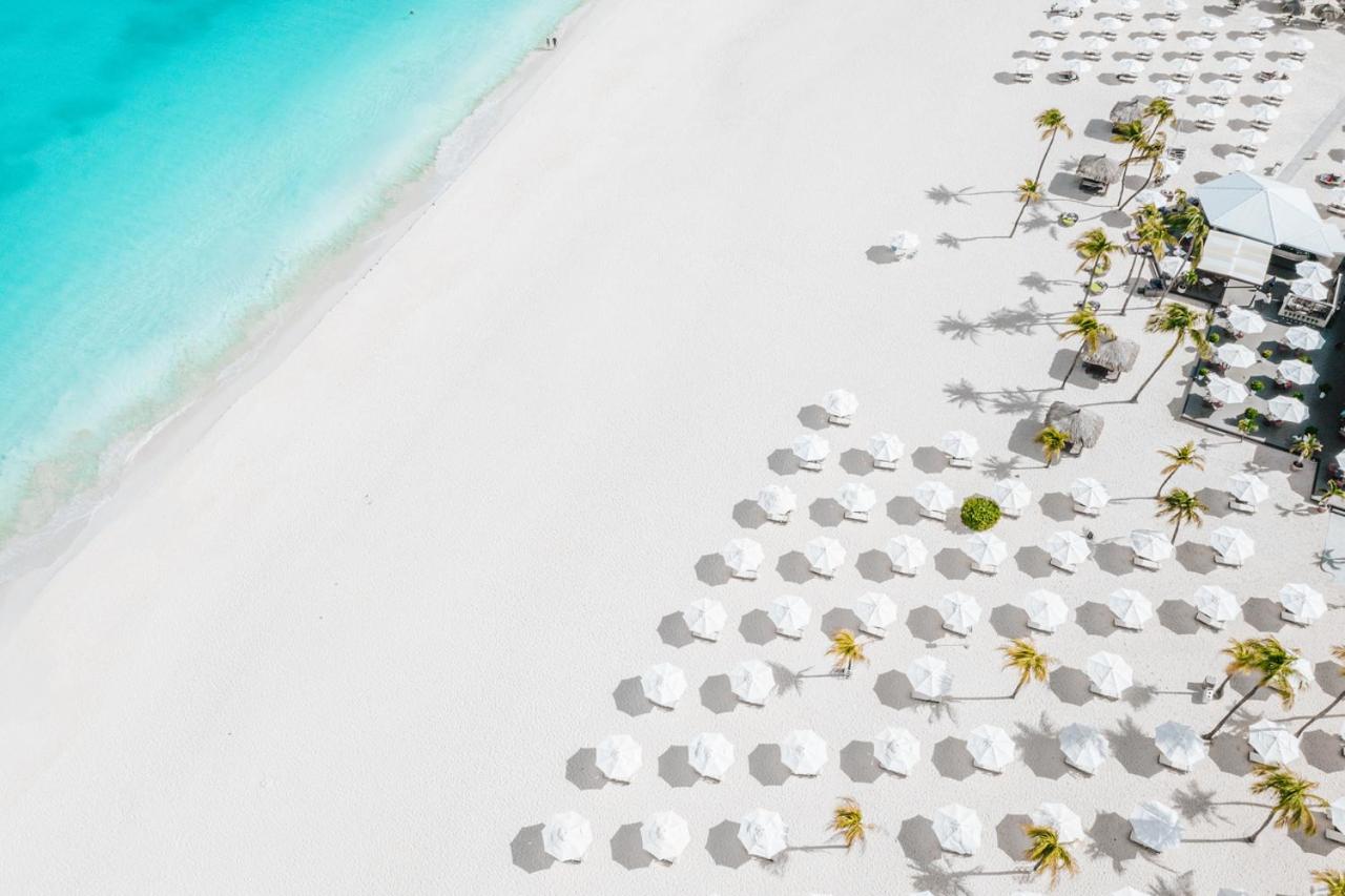 Bucuti  Tara Boutique Beach Resort - Adult Only - Property Image 26