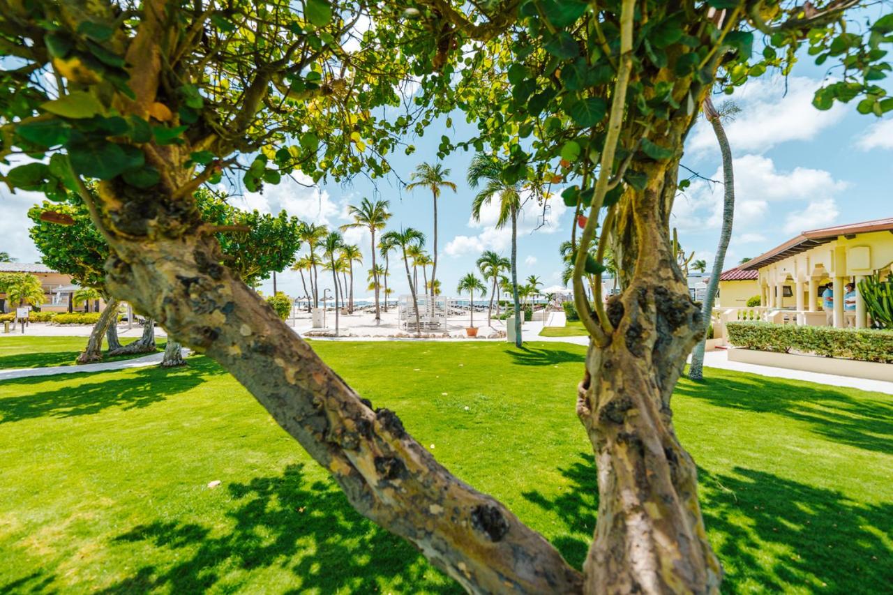 Bucuti  Tara Boutique Beach Resort - Adult Only - Property Image 31