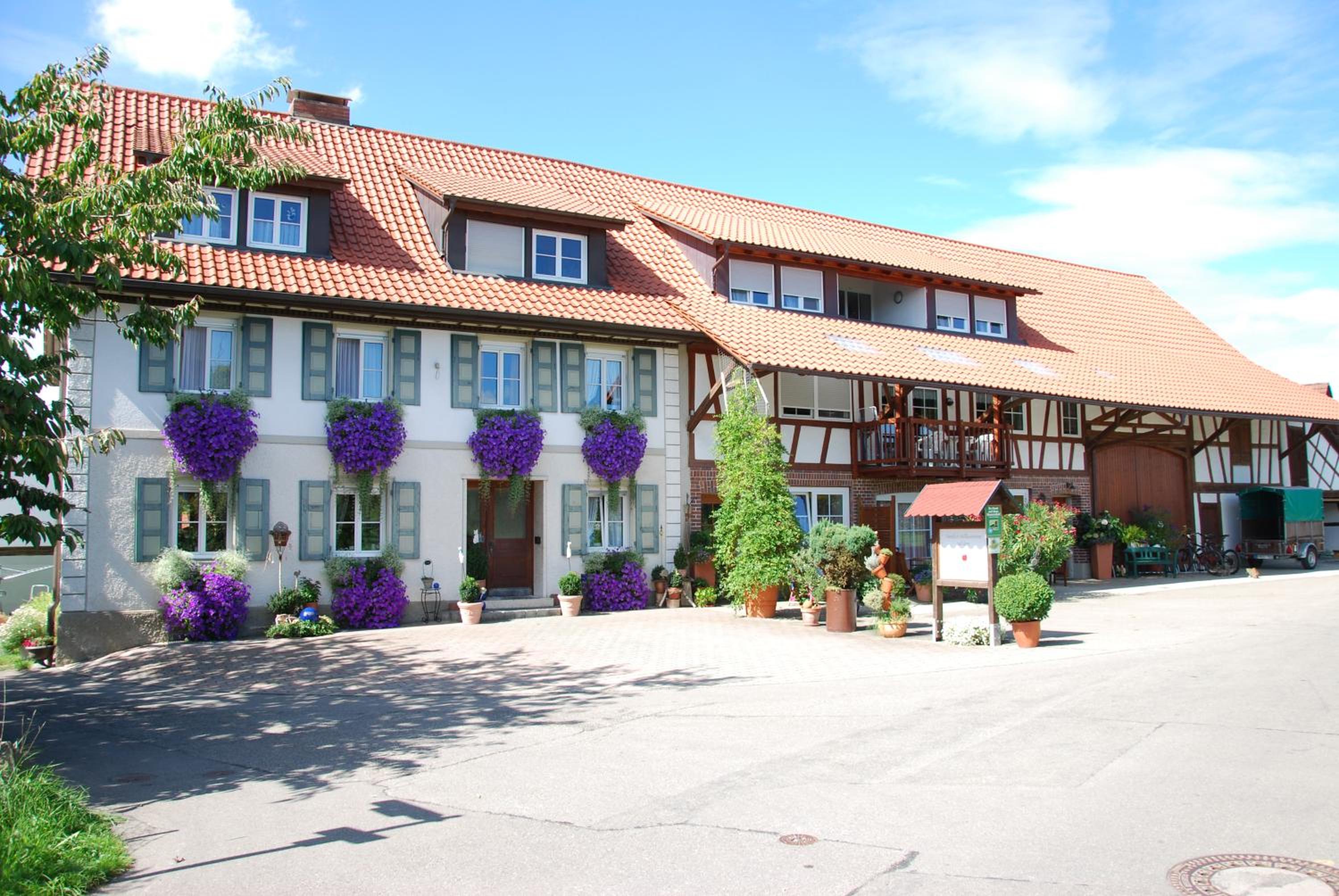 FERIENHOF KATZENMAIER, Bauernhof- und Familienurlaub am BODENSEE, großzügig wohnen, MESSENAH und teils BARRIEREFREI, Spielangebot für drinnen und draußen, 