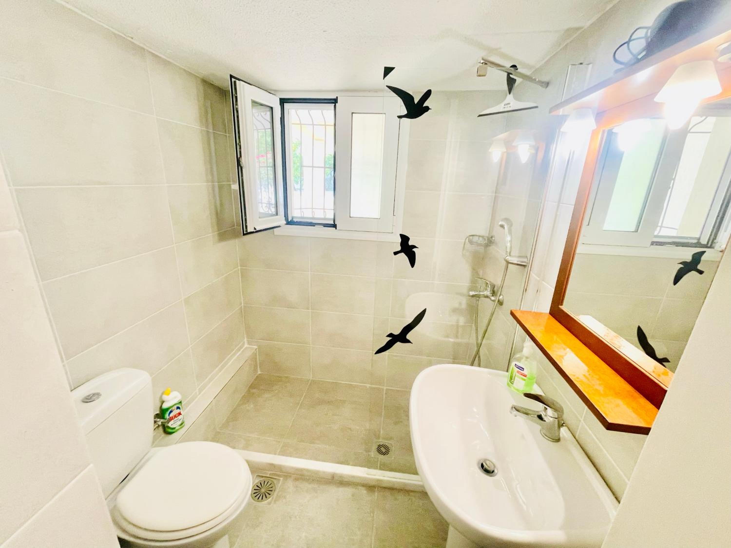 OctopusGarden Apartments Porto Cheli