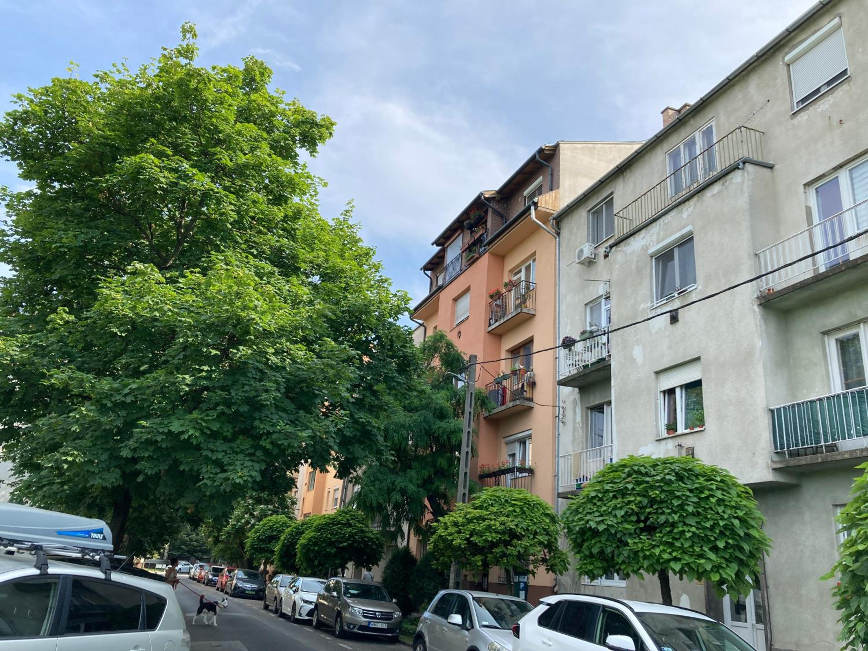 Carina Apartment