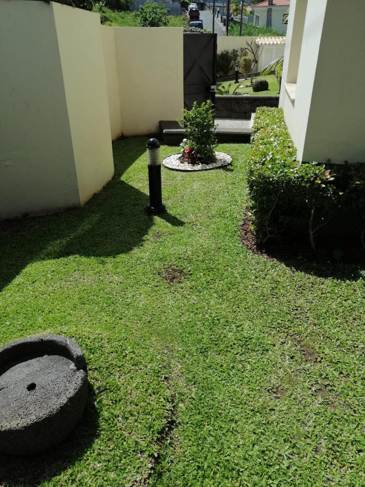 Photo 51