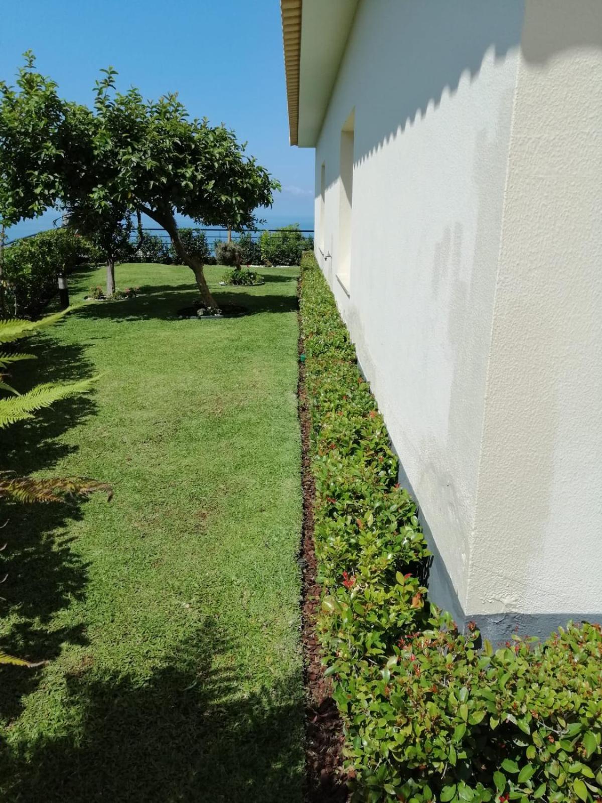 Photo 49