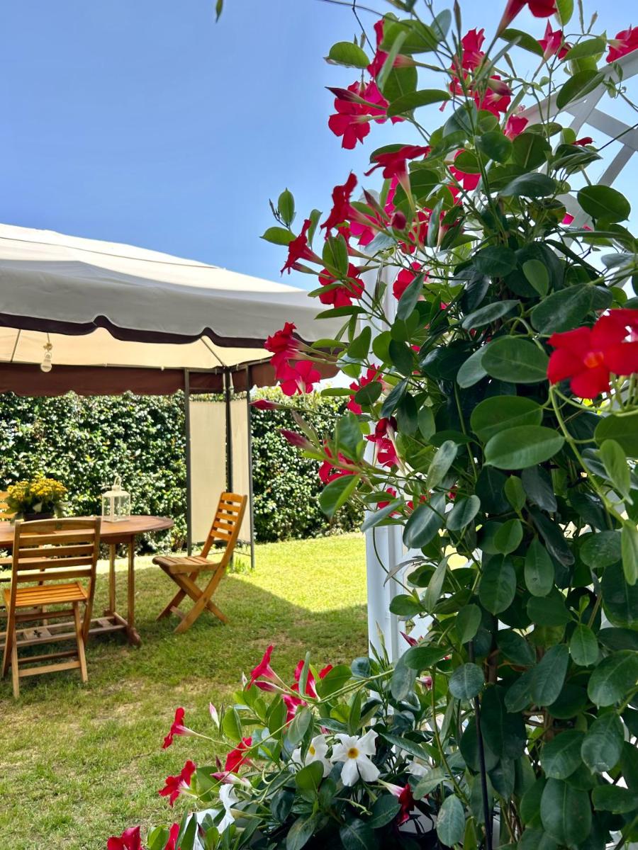 Alto Giardino view 4