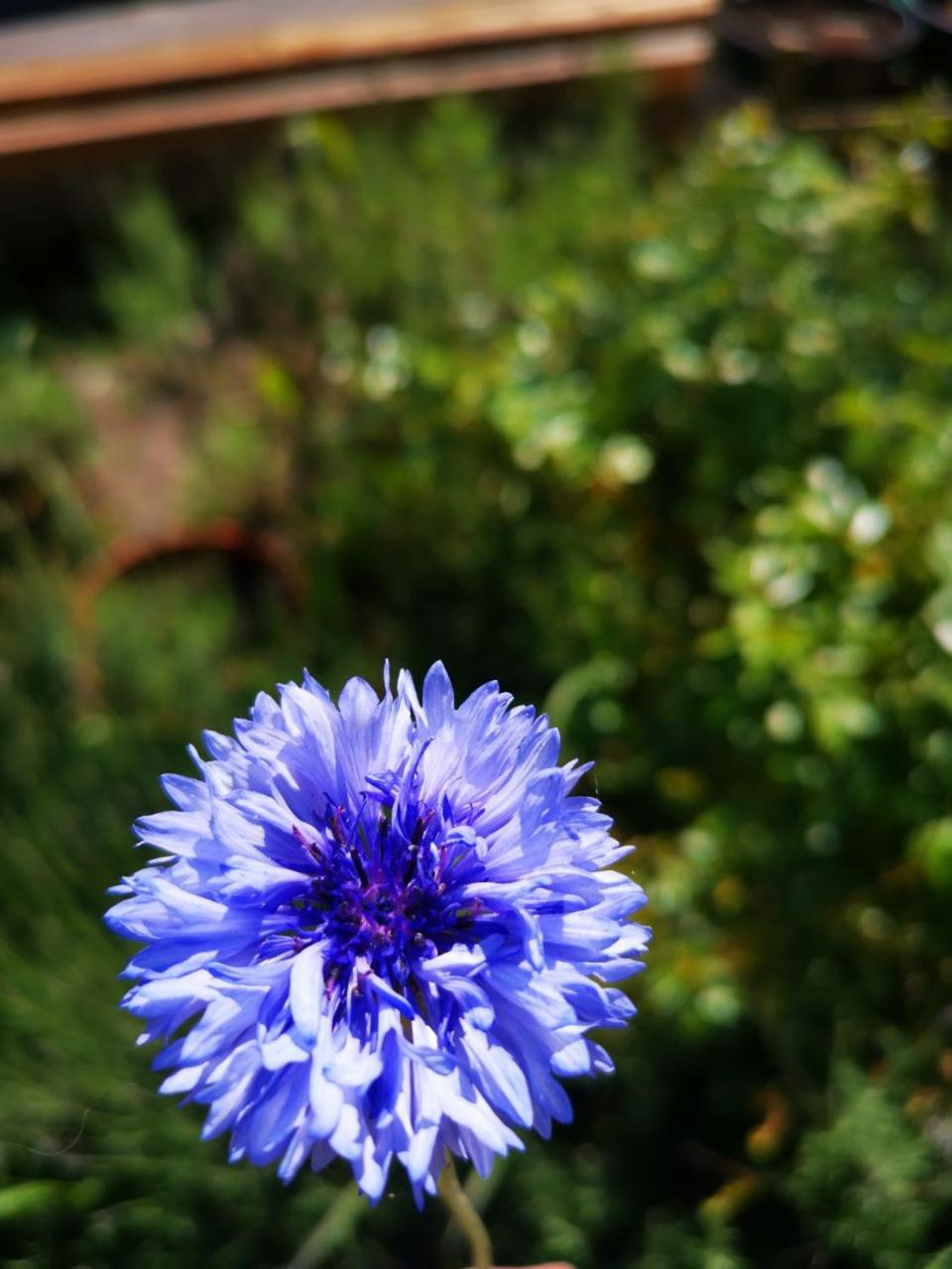 Photo 28