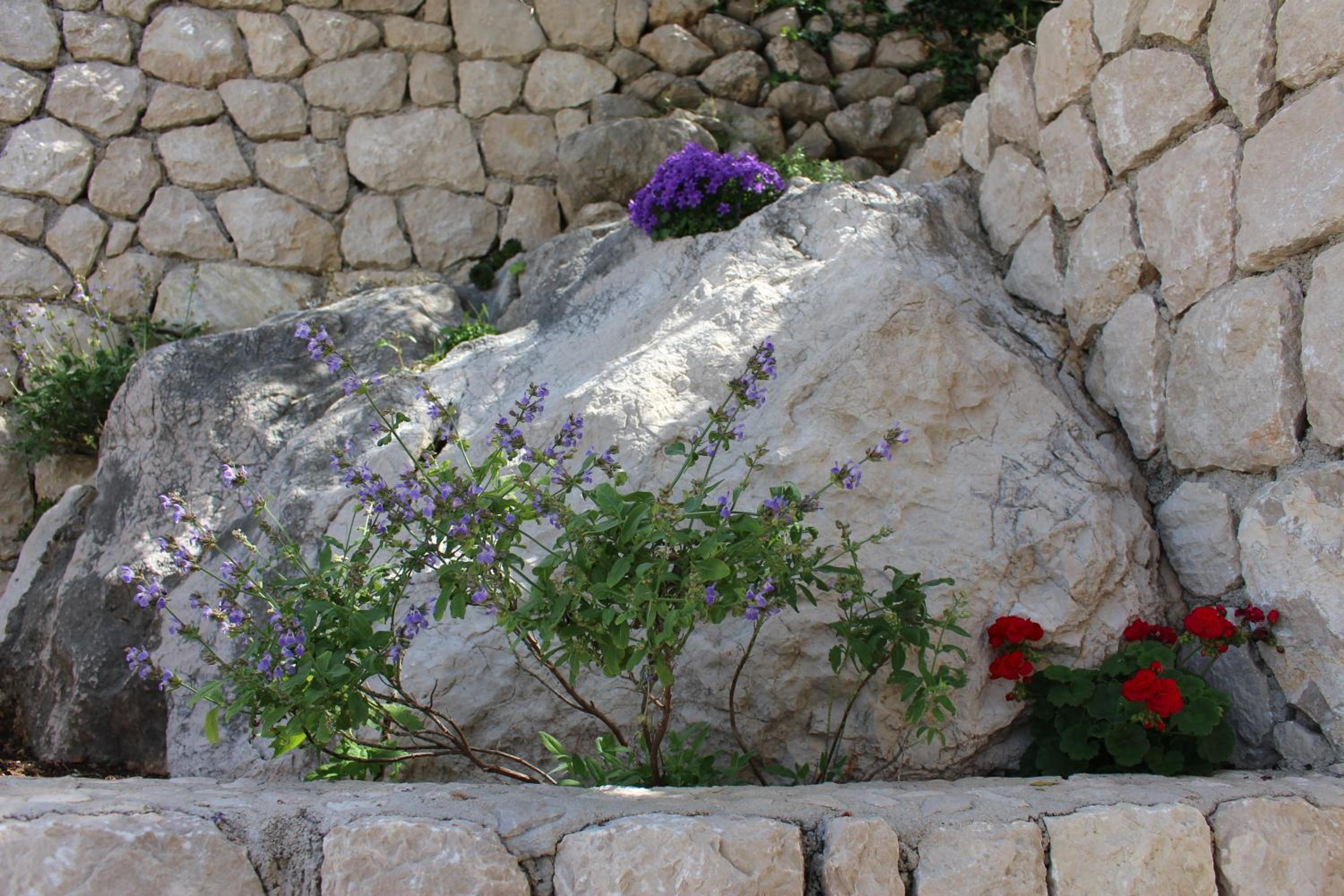 Photo 55