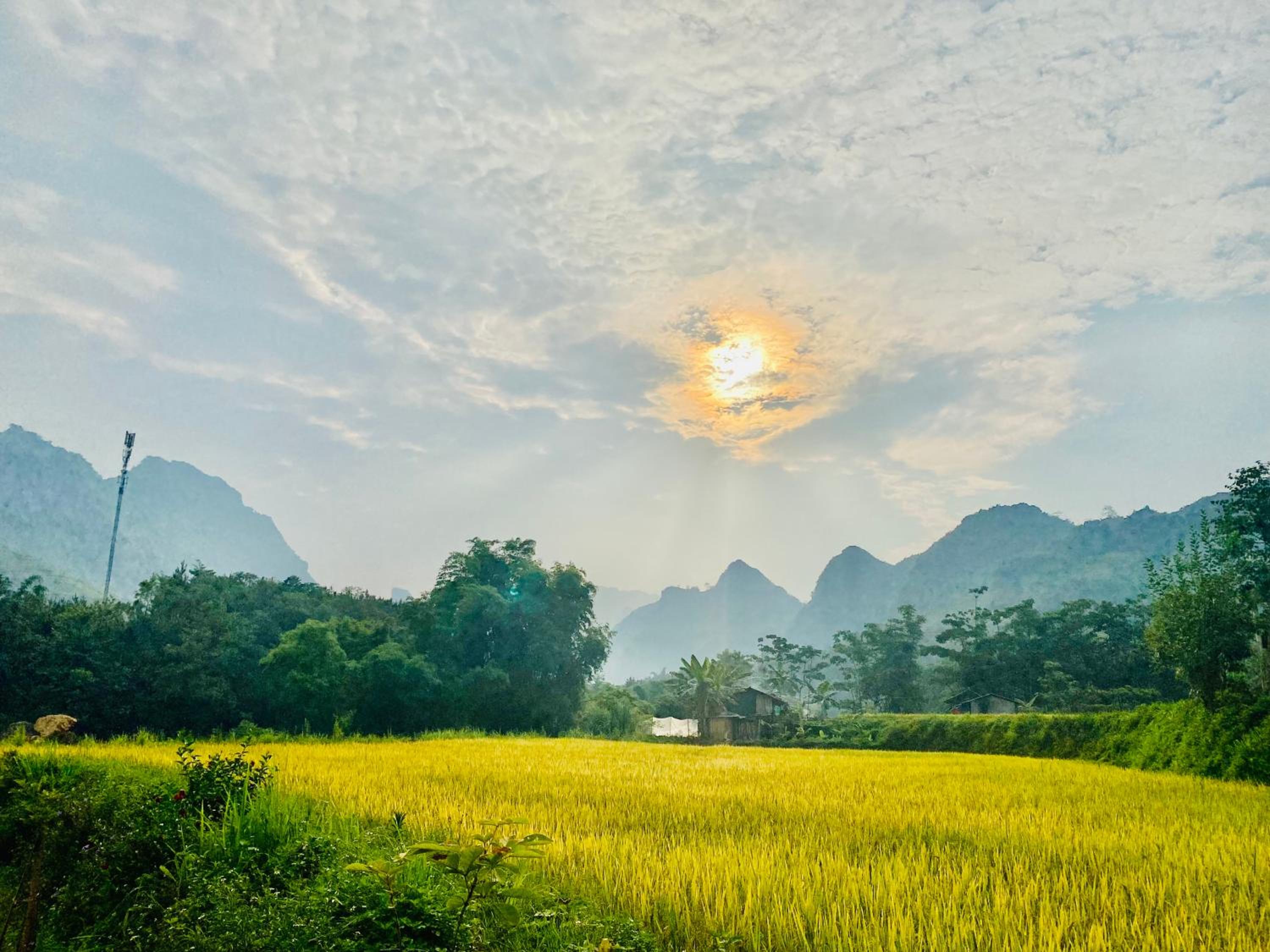 Du Gia Field View Homestay