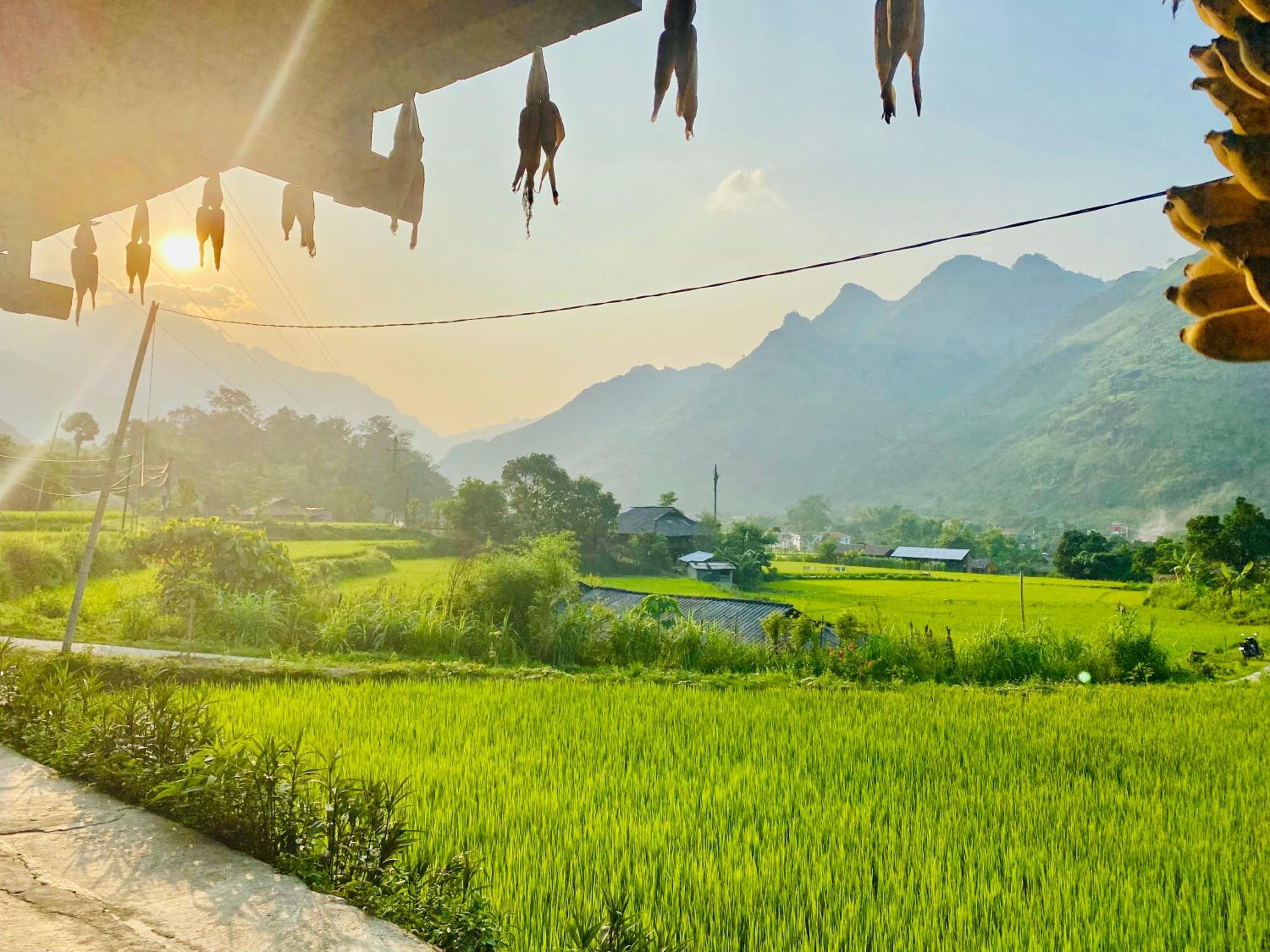 Du Gia Field View Homestay