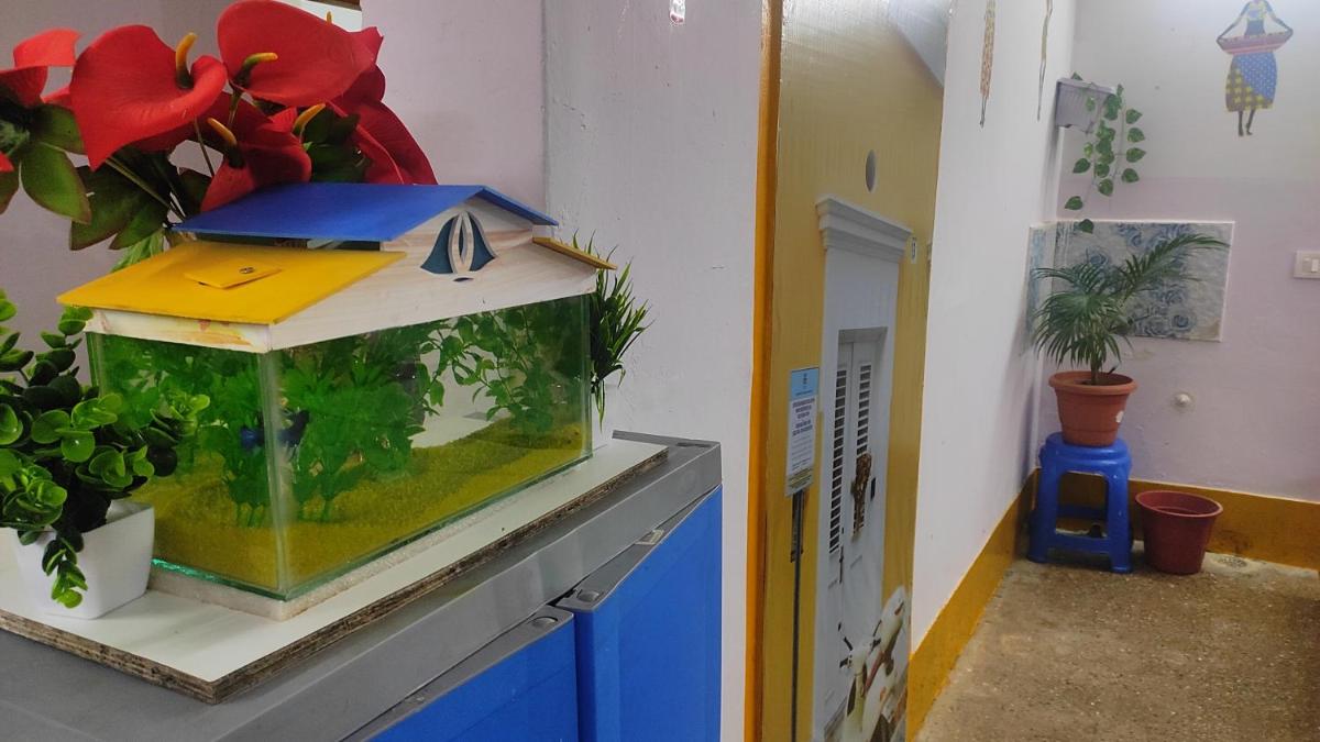 children's play area