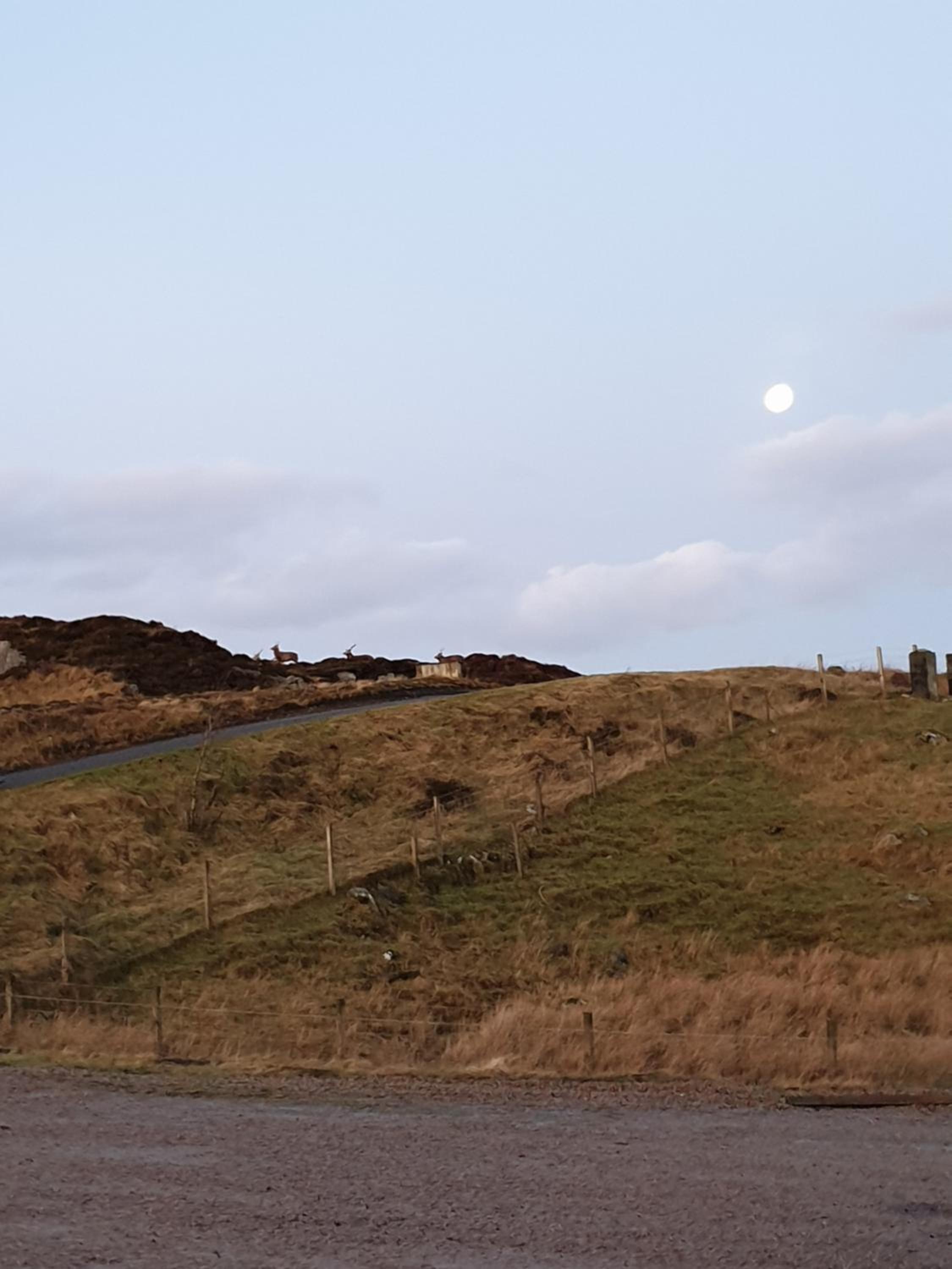 Loch Erisort House view 2