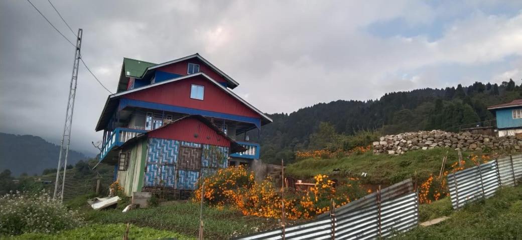 Singalila Sunview Homestay view 3