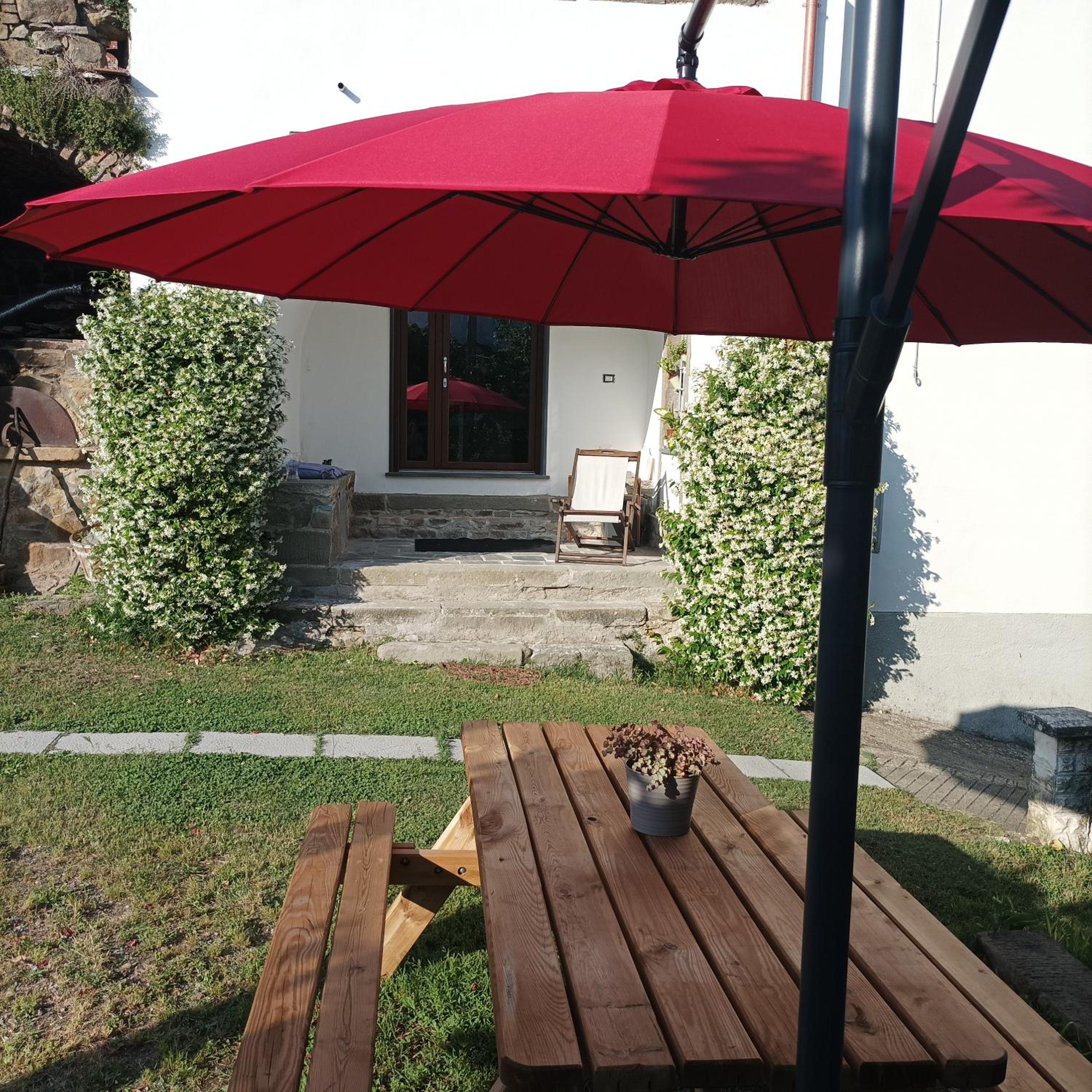 Photo 31