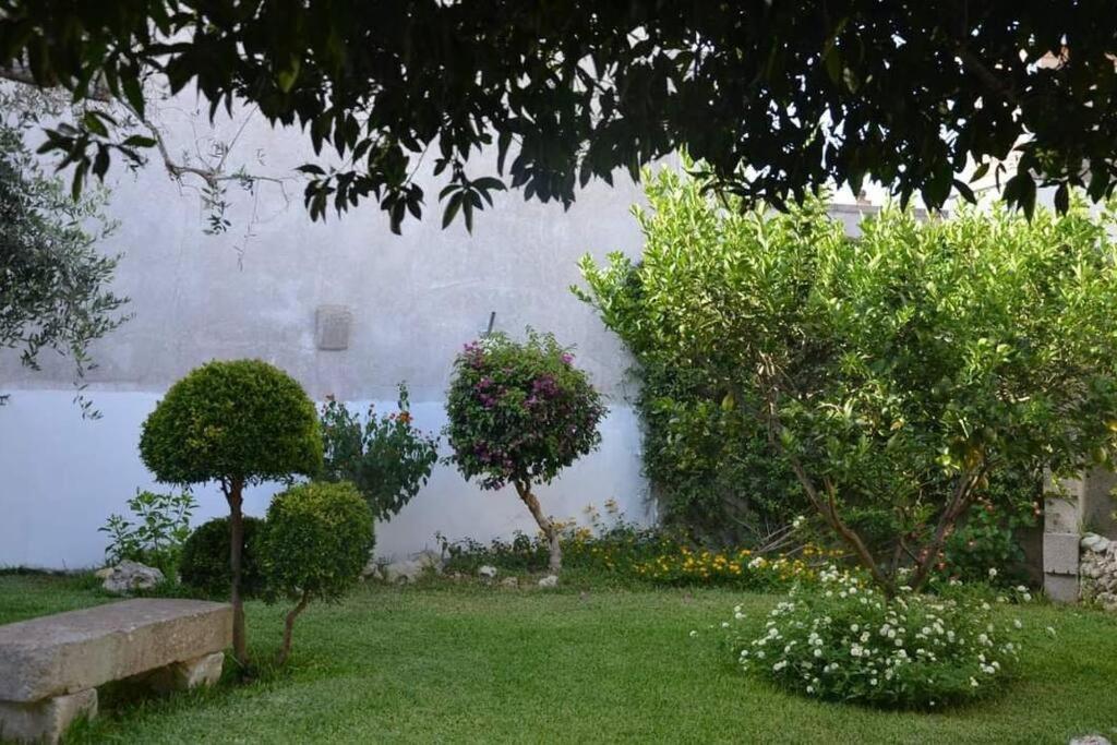 Bouganville, casa sul giardino vicino Otranto photo 4